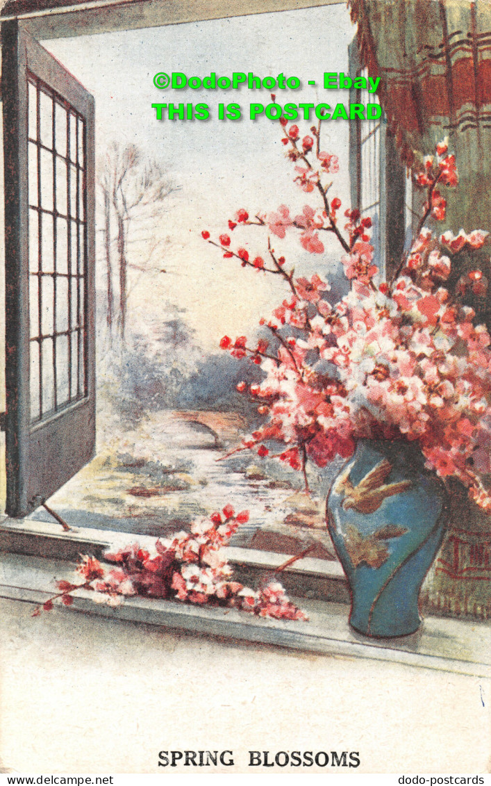 R451603 Spring Blossoms. The Photochrom. Exclusive Celesque Series. No. 1912 - Monde