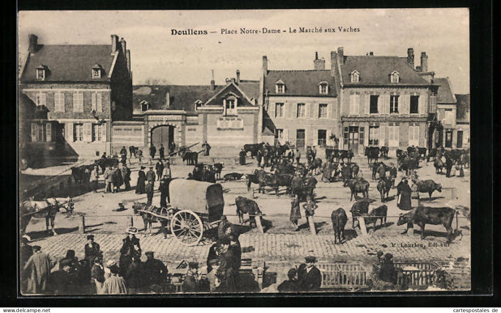 CPA Doullens, Place Notre-Dame, Le Marché Aux Vaches  - Doullens