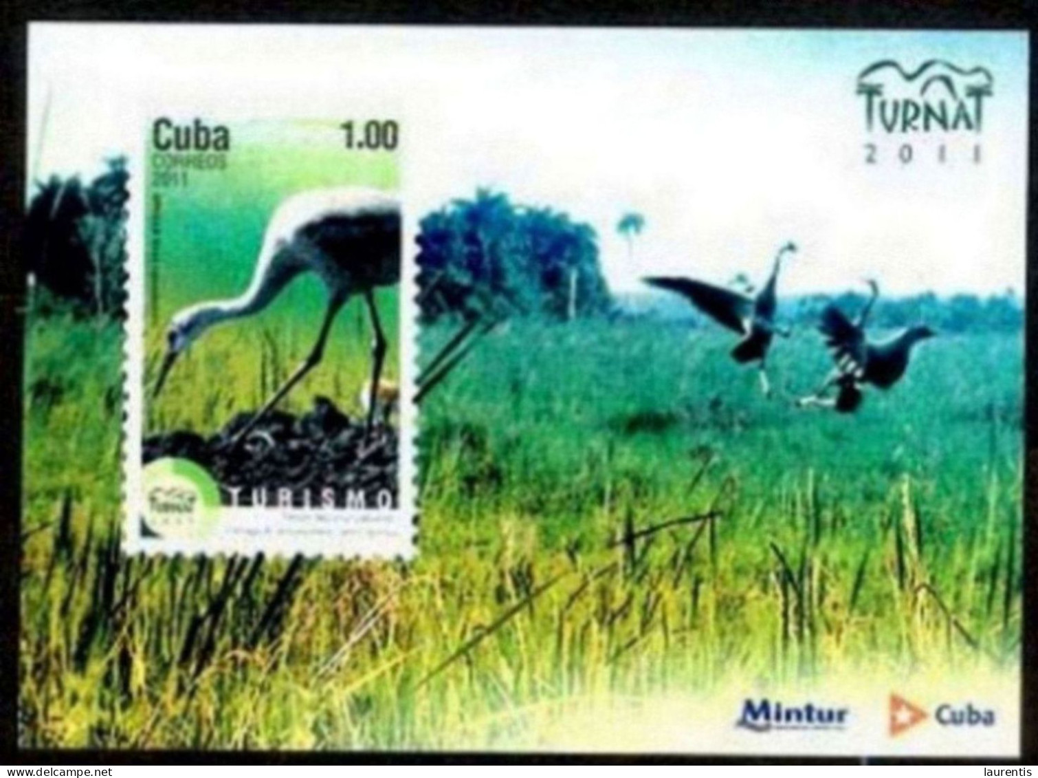 14651  Cranes - Grues - Birds - 2011 - MNH - Cb - 1,65 . - Kranichvögel