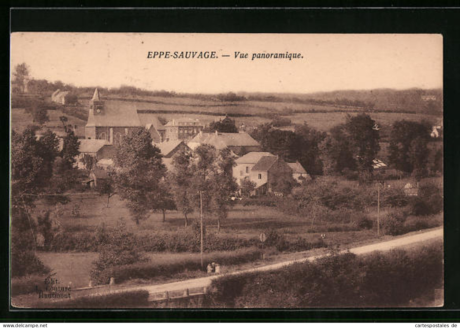 CPA Eppe-Sauvage, Vue Panoramique  - Altri & Non Classificati