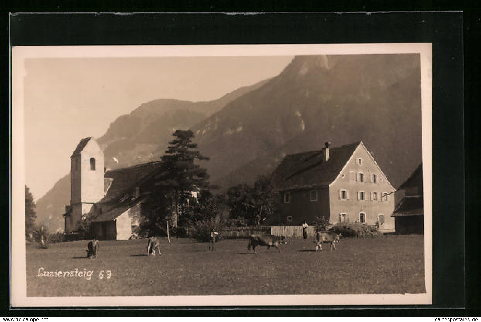 Foto-AK Luziensteig, Ortspartie Mit Kirche Und Weidenden Kühen  - Andere & Zonder Classificatie