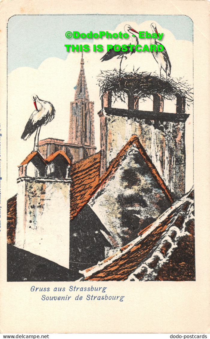 R452018 Gruss Aus Strassburg. Souvenir De Strasbourg. Postcard - Welt