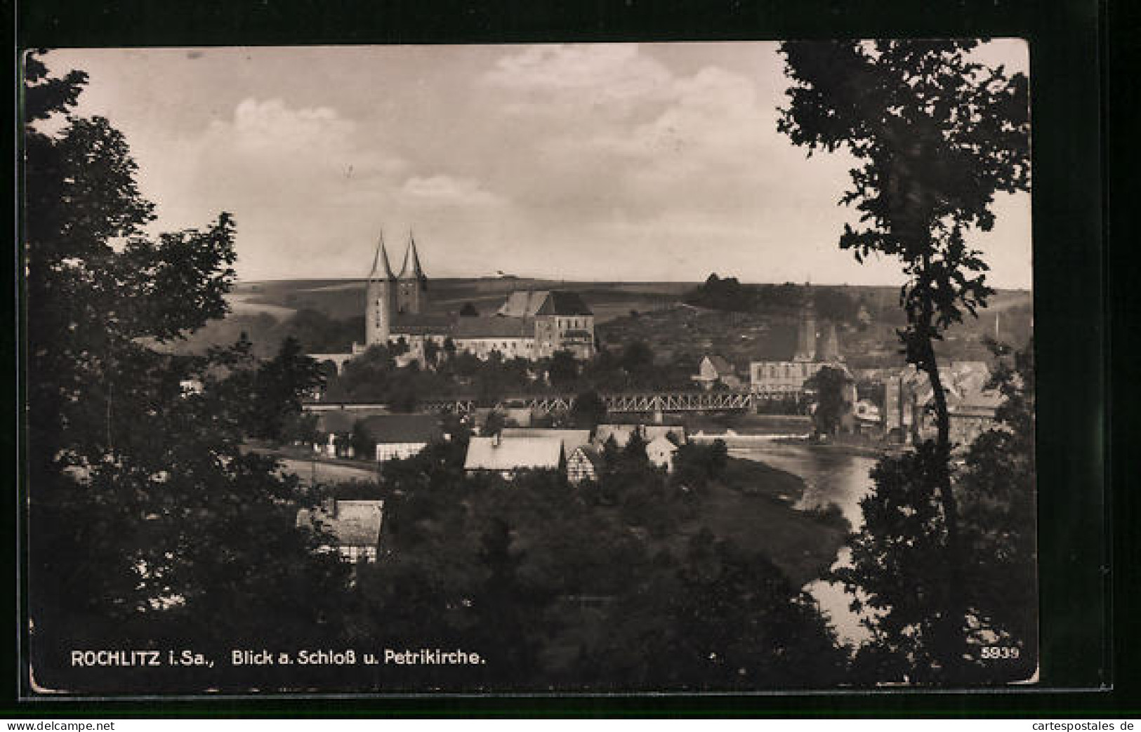 AK Rochlitz I. Sa., Blick Auf Schloss Und Petrikirche  - Rochlitz