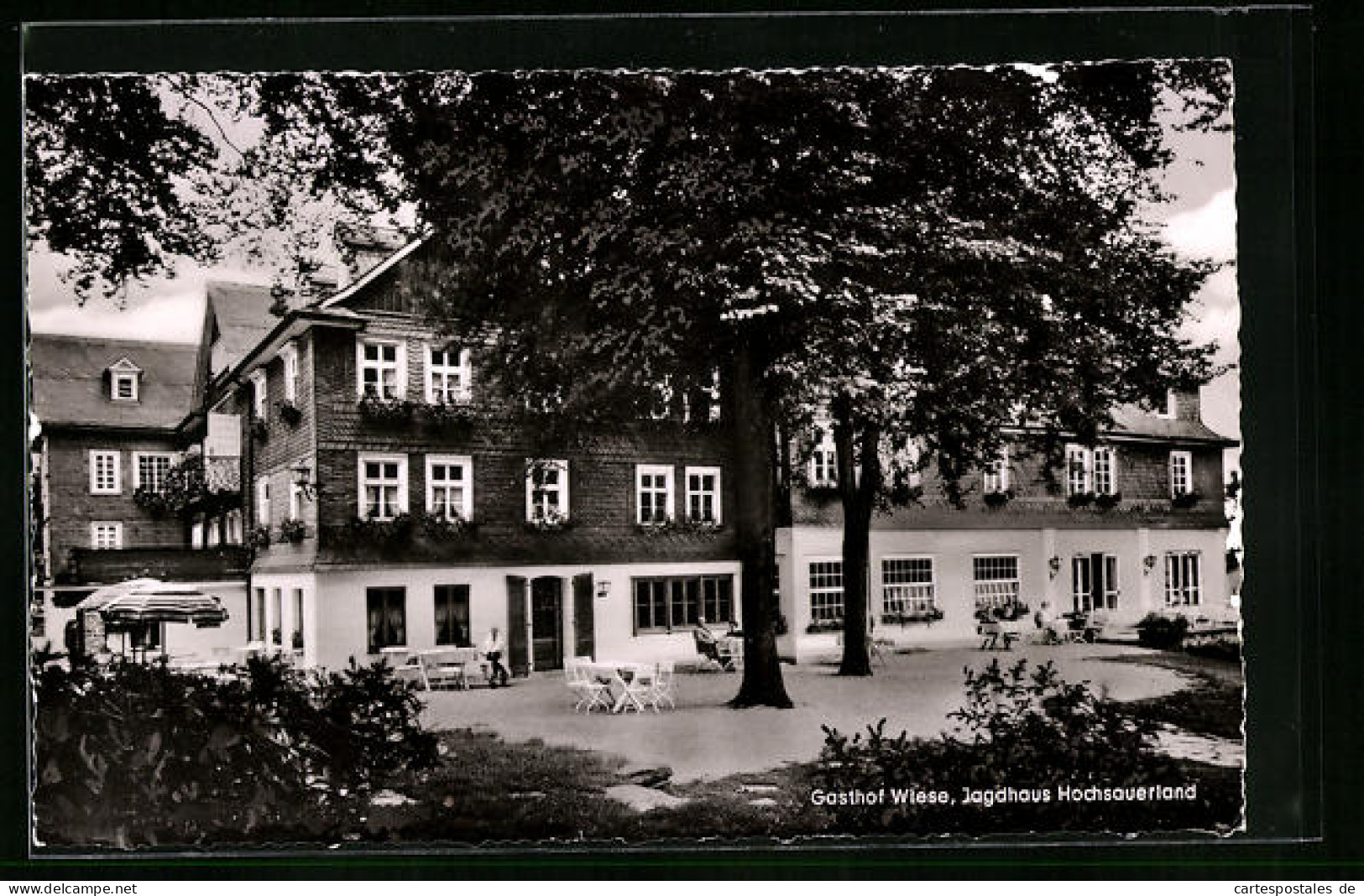 AK Jagdhaus / Hochsauerland, Gasthof Wiese  - Hunting