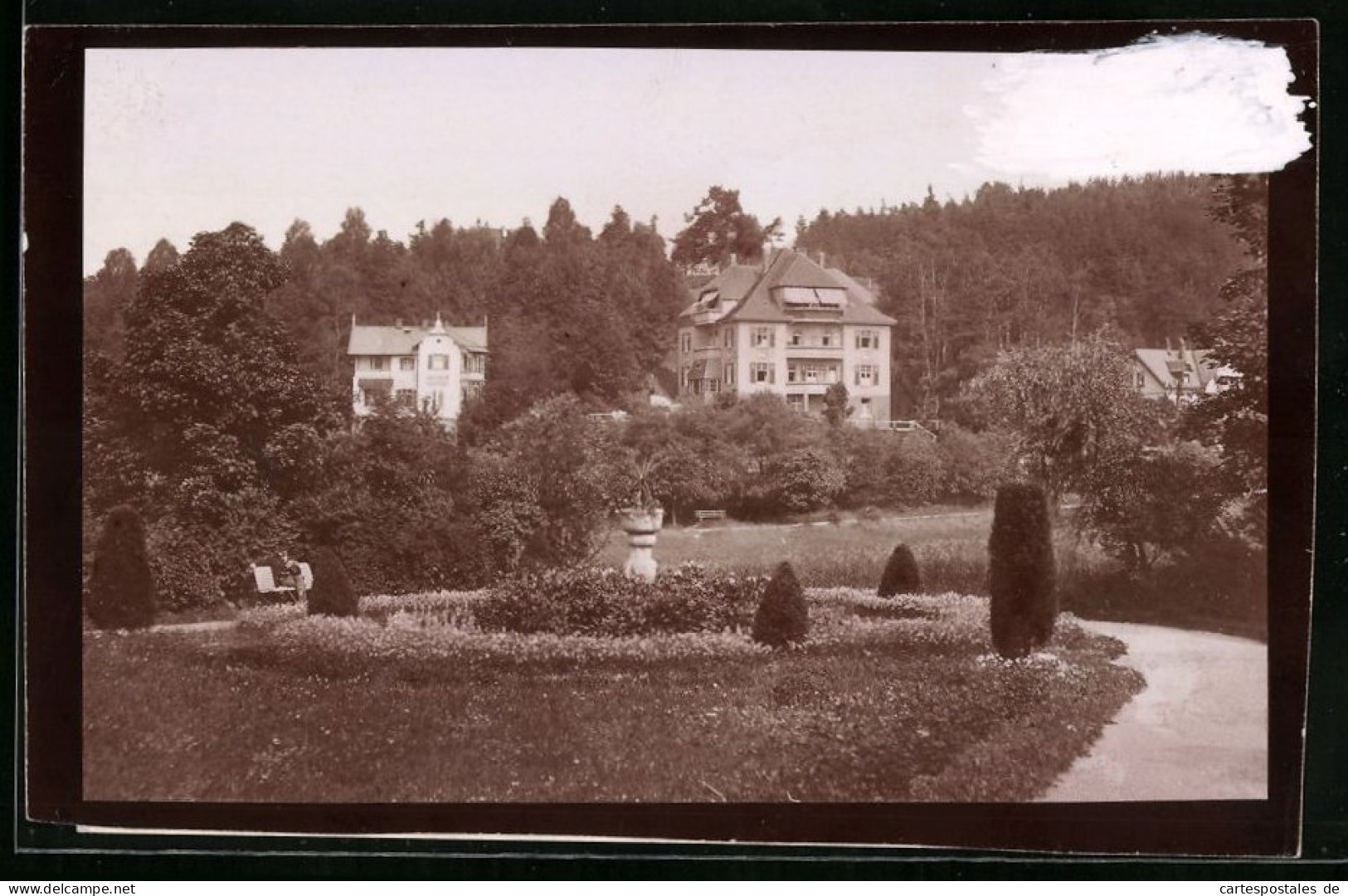 Fotografie Brück & Sohn Meissen, Ansicht Bad Elster, Partie Im Albertpark Mit Villa Hubertus  - Plaatsen