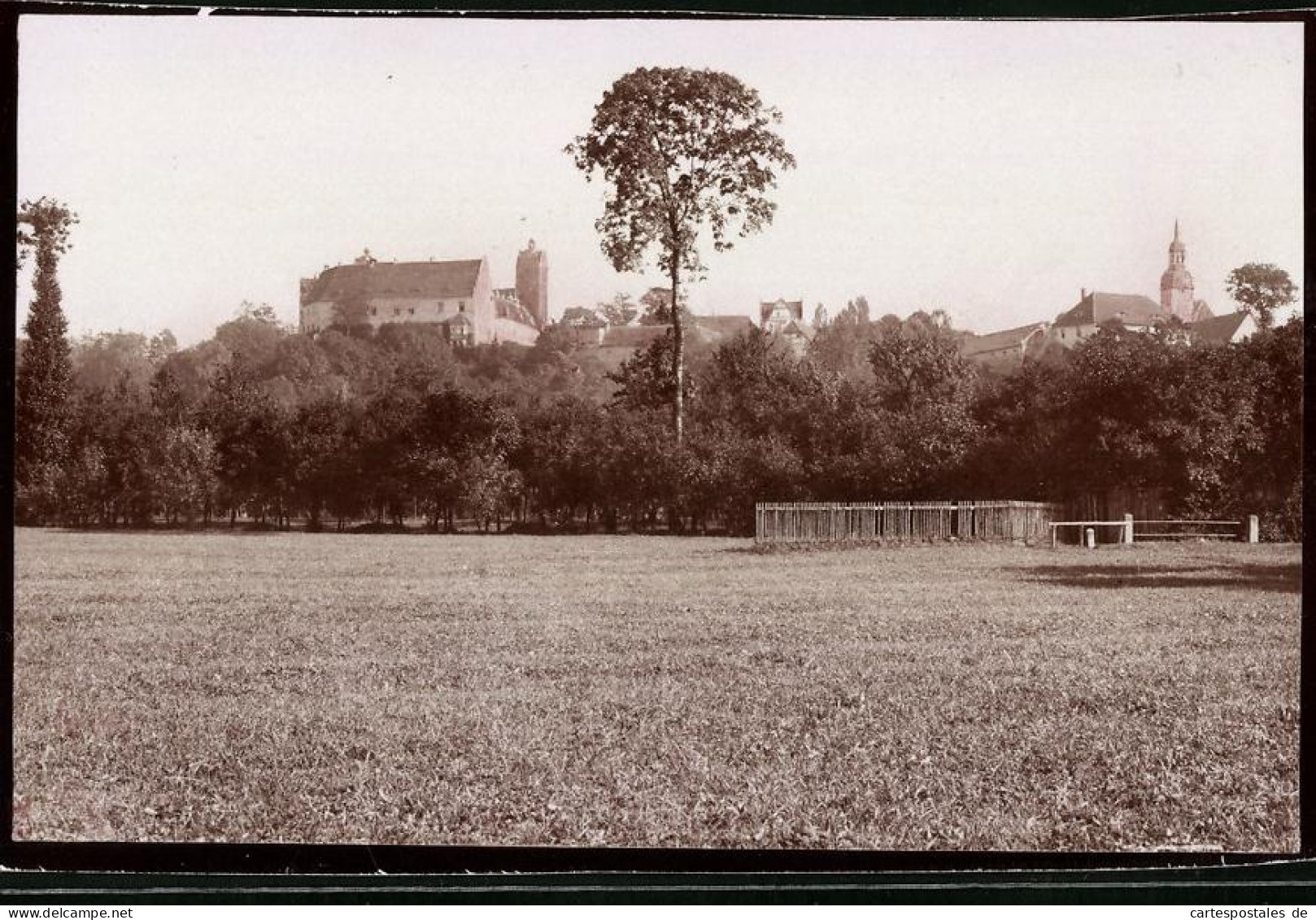 Fotografie Brück & Sohn Meissen, Ansicht Strehla / Elbe, Blick Zum Schloss  - Lieux