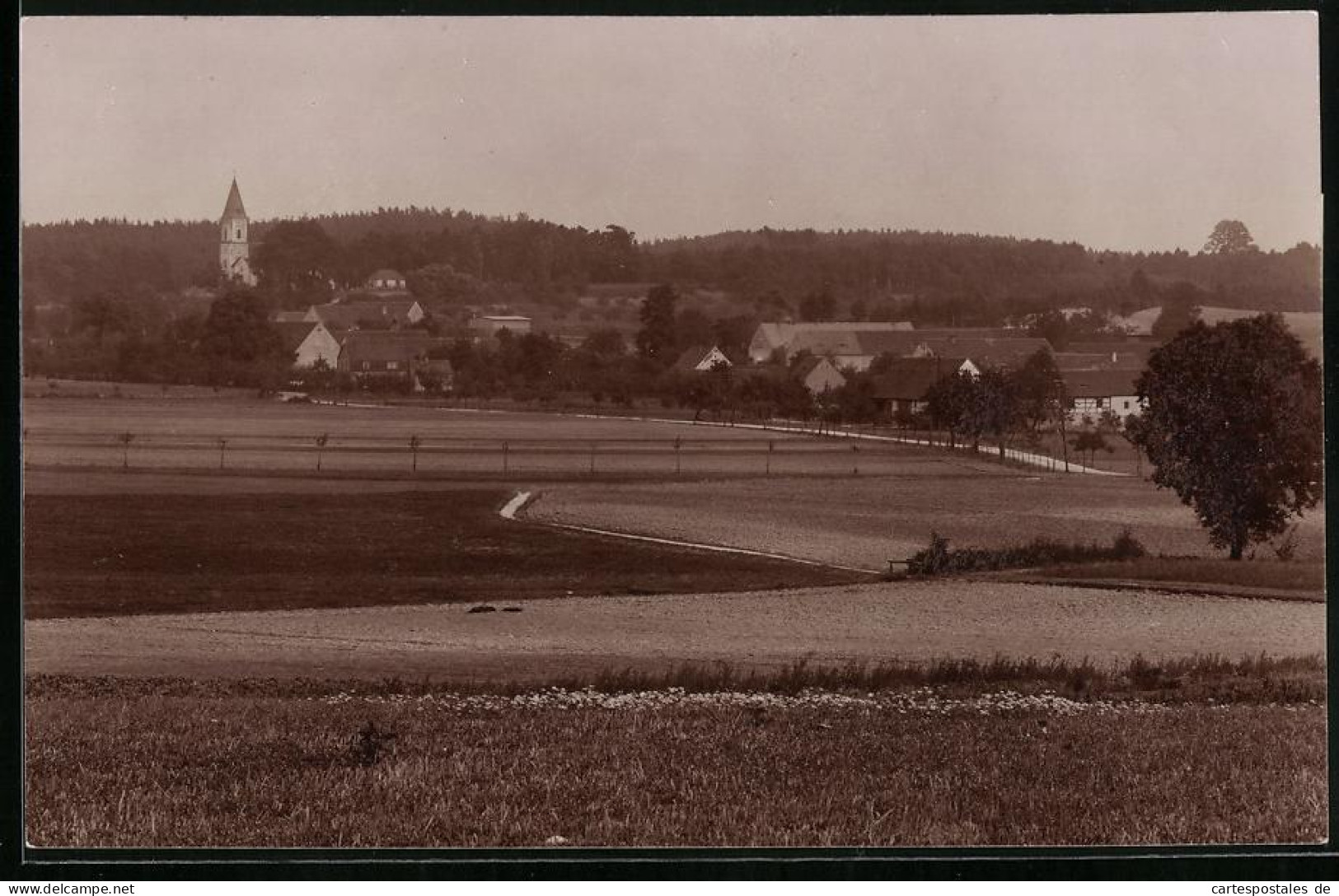 Fotografie Brück & Sohn Meissen, Ansicht Bucha I. Sa., Blick über Die Felder Nach Dem Ort Mit Kirche  - Plaatsen