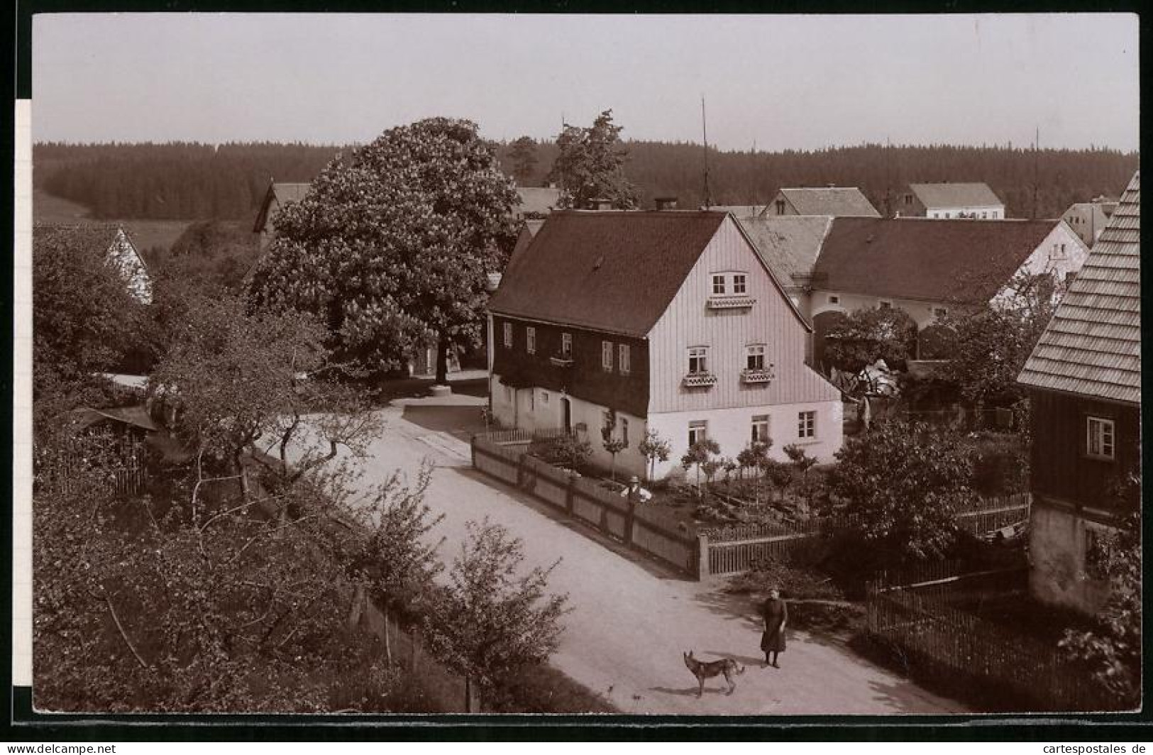 Fotografie Brück & Sohn Meissen, Ansicht Grillenburg, Partie Im Ort Mit Wohnhäusern, Frau Mit Ihrem Hund Auf Der Str  - Lieux