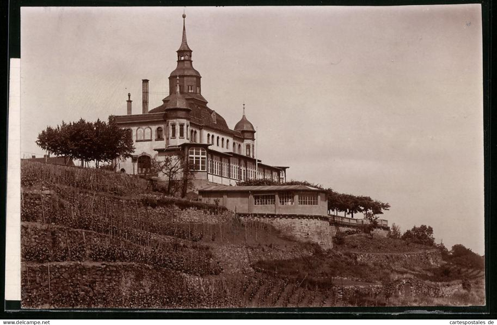 Fotografie Brück & Sohn Meissen, Ansicht Radebeul, Blick Zum Spitzhaus  - Places