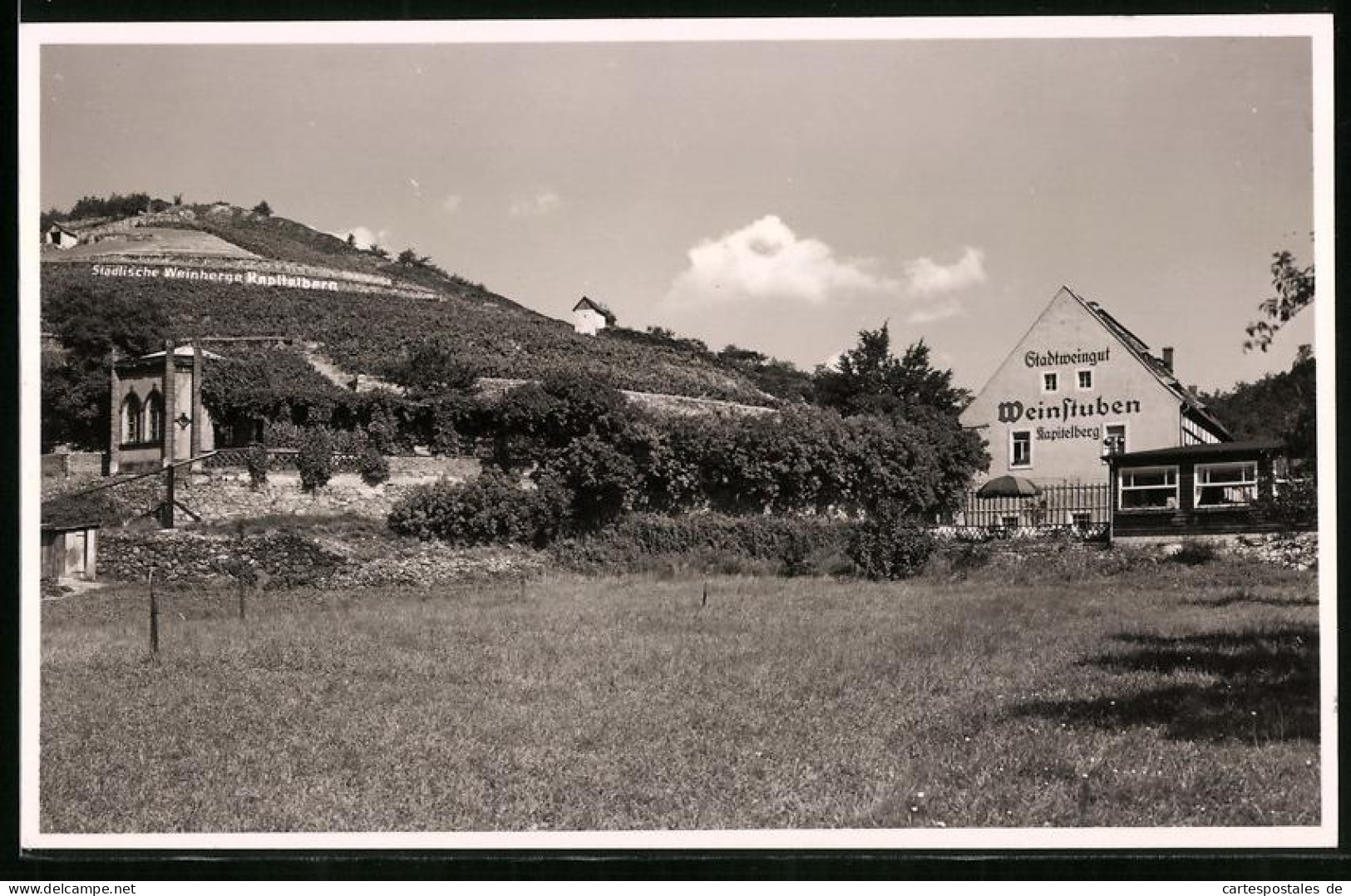 Fotografie Brück & Sohn Meissen, Ansicht Meissen I. Sa., Kapitelberg Von Der Dresdner Strasse Mit Gasthaus Weinstuben  - Lieux