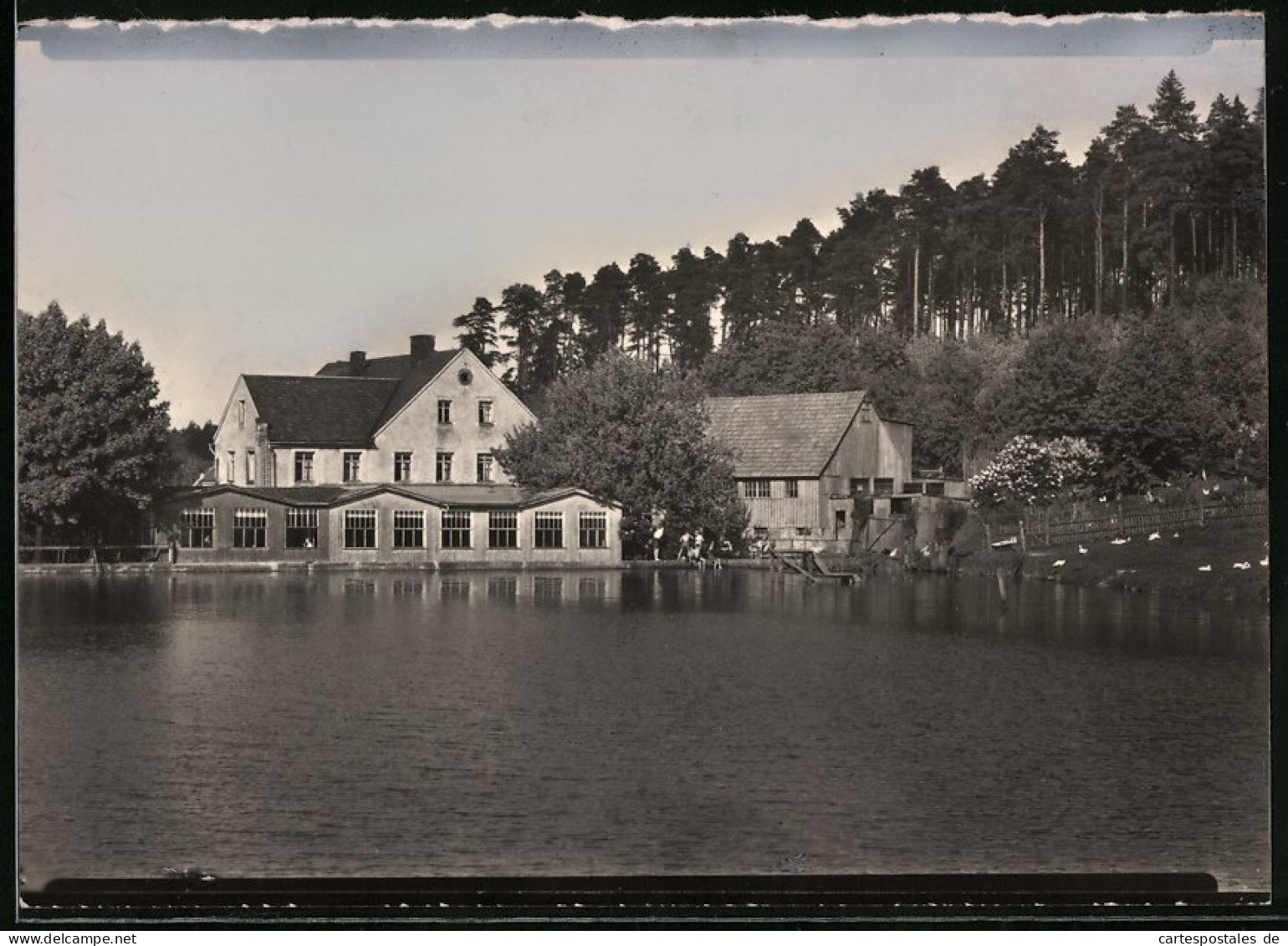 Fotografie Brück & Sohn Meissen, Ansicht Herrndorf-Hetzdorf, Blick über Den Badeteich Zum Gasthaus Sumpfmühle  - Lieux