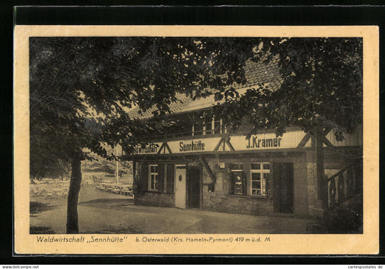 AK Osterwald /Kr. Hameln, Waldwirtschaft Sennhütte  - Hameln (Pyrmont)