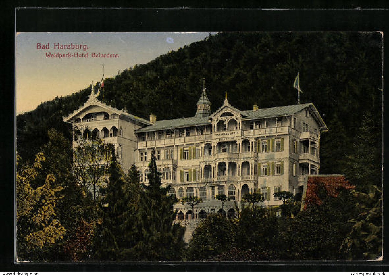 AK Bad Harzburg, Waldpark-Hotel Belvedere  - Bad Harzburg