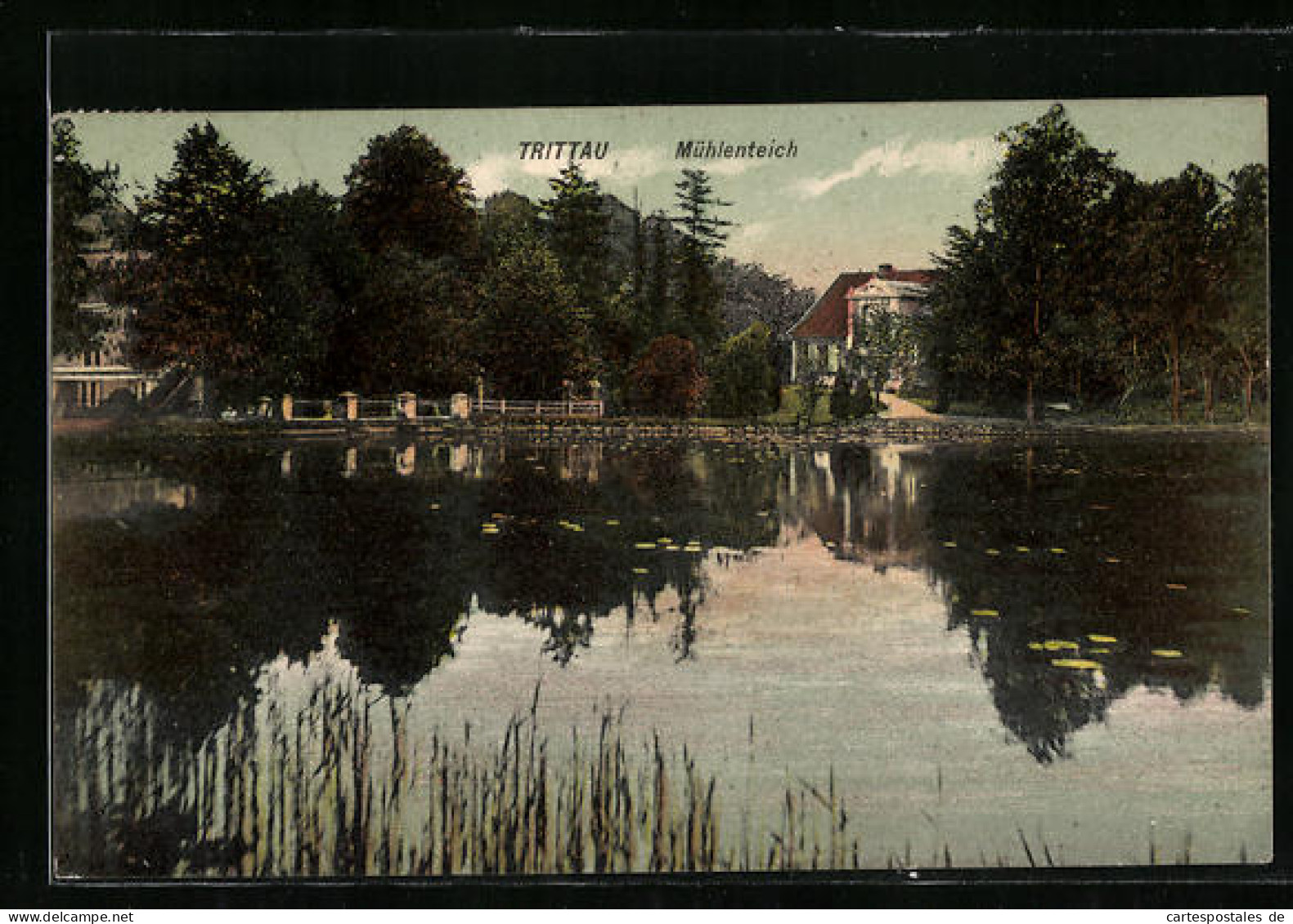 AK Trittau I. H., Partie Vom Mühlenteich  - Trittau