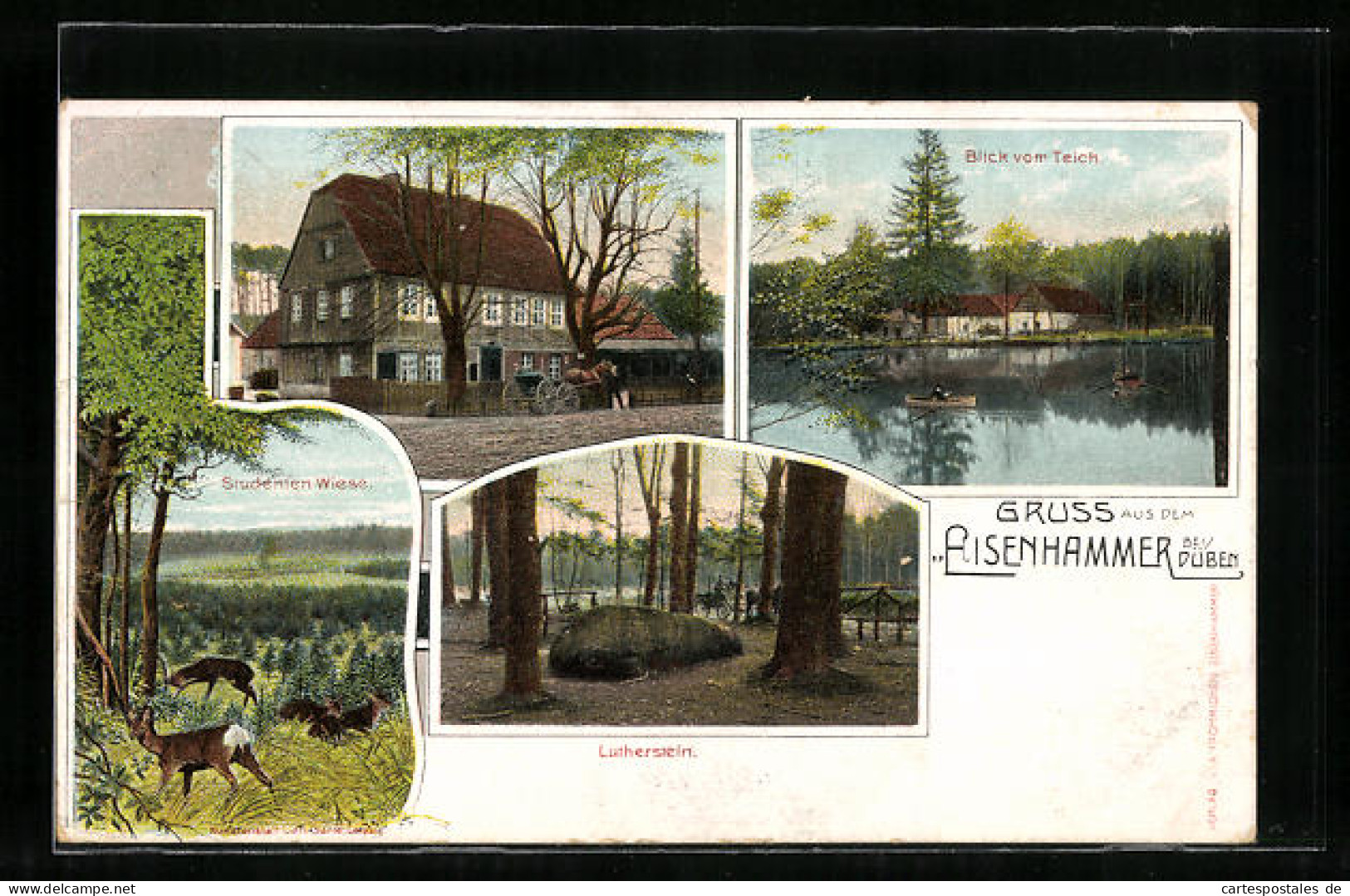 AK Eisenhammer Bei Düben, Blick Vom Teich, Studenten Wiese, Lutherstein  - Other & Unclassified