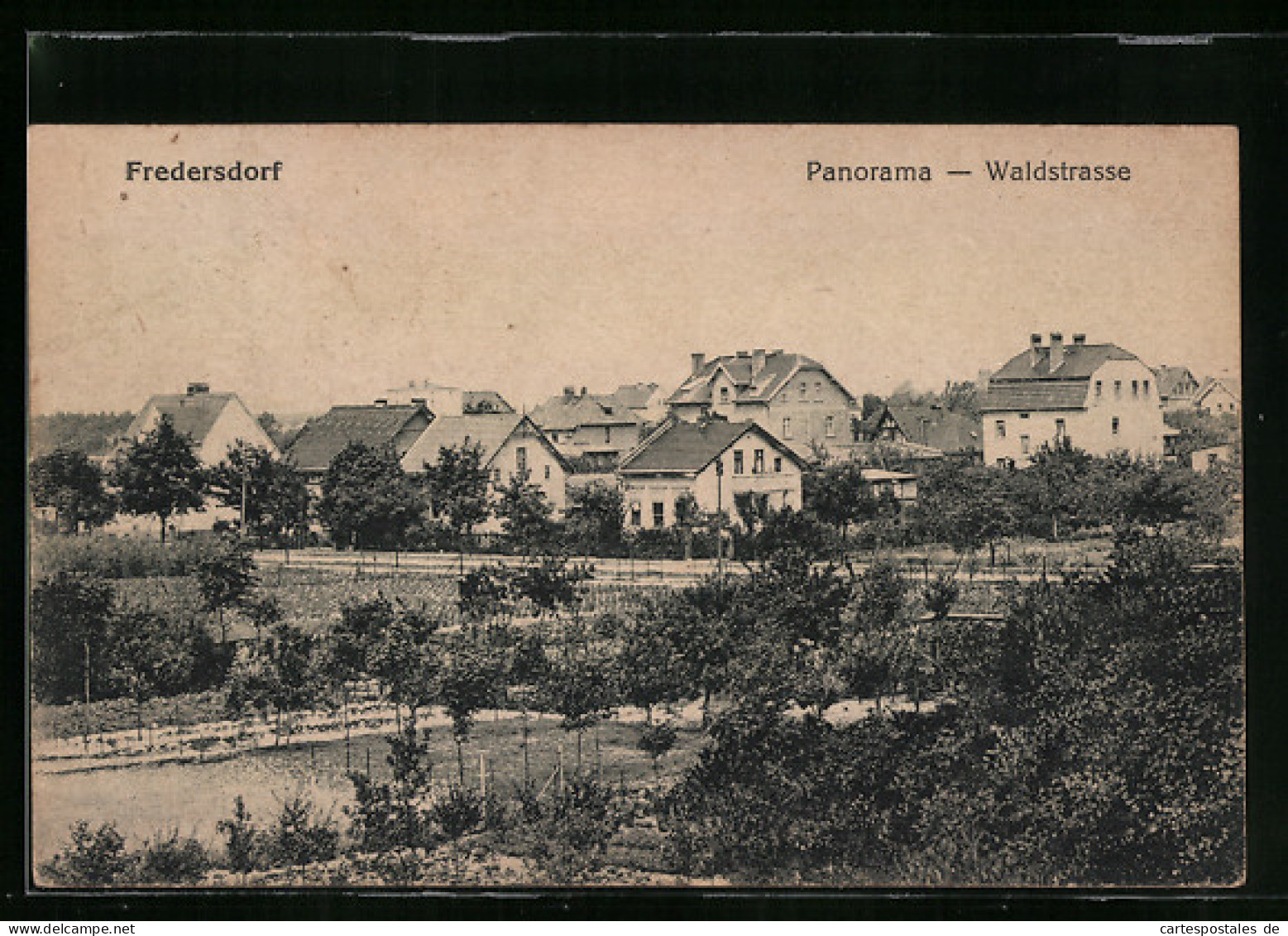 AK Fredersdorf, Panorama Mit Waldstrasse  - Sonstige & Ohne Zuordnung