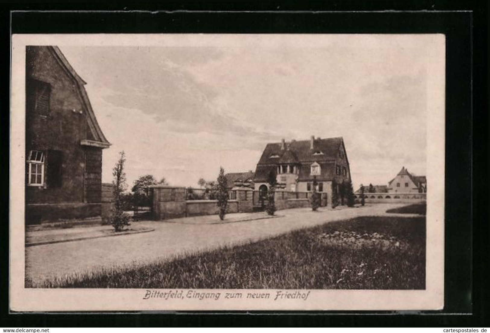 AK Bitterfeld, Eingang Zum Neuen Friedhof  - Bitterfeld