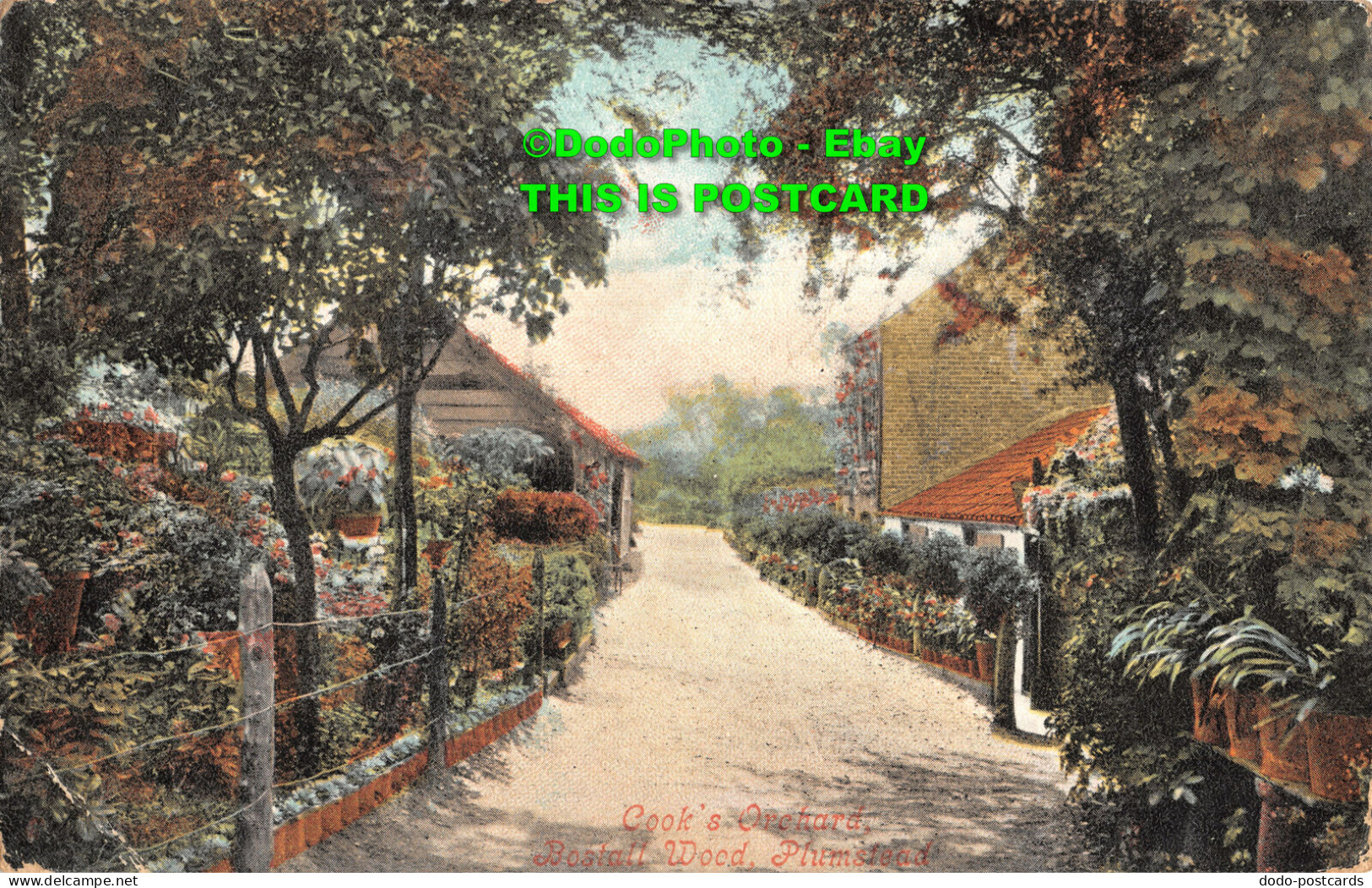 R452904 Cooks Orchard. Bostall Wood. Plumstead. Valentines Series. 1906 - Welt
