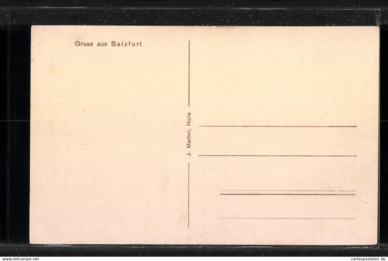 AK Salzfurt B. Raguhn, Gasthof Von F. Troitzsch, Domäne Und Denkmal  - Sonstige & Ohne Zuordnung