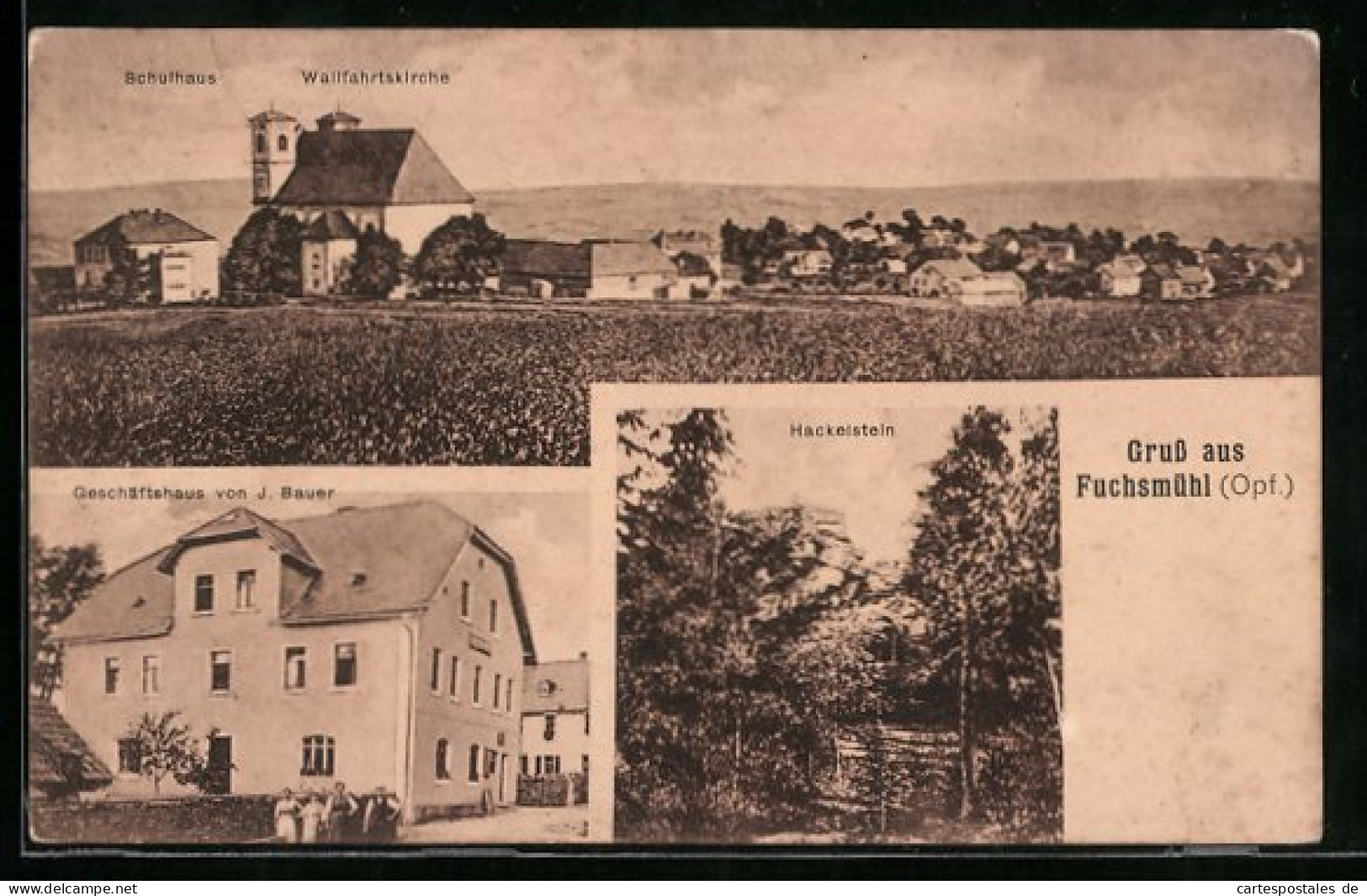AK Fuchsmühl I. Opf., Schulhaus, Wallfahrtskirche, Gescäftshaus Von J. Bauer Und Hackelstein  - Other & Unclassified