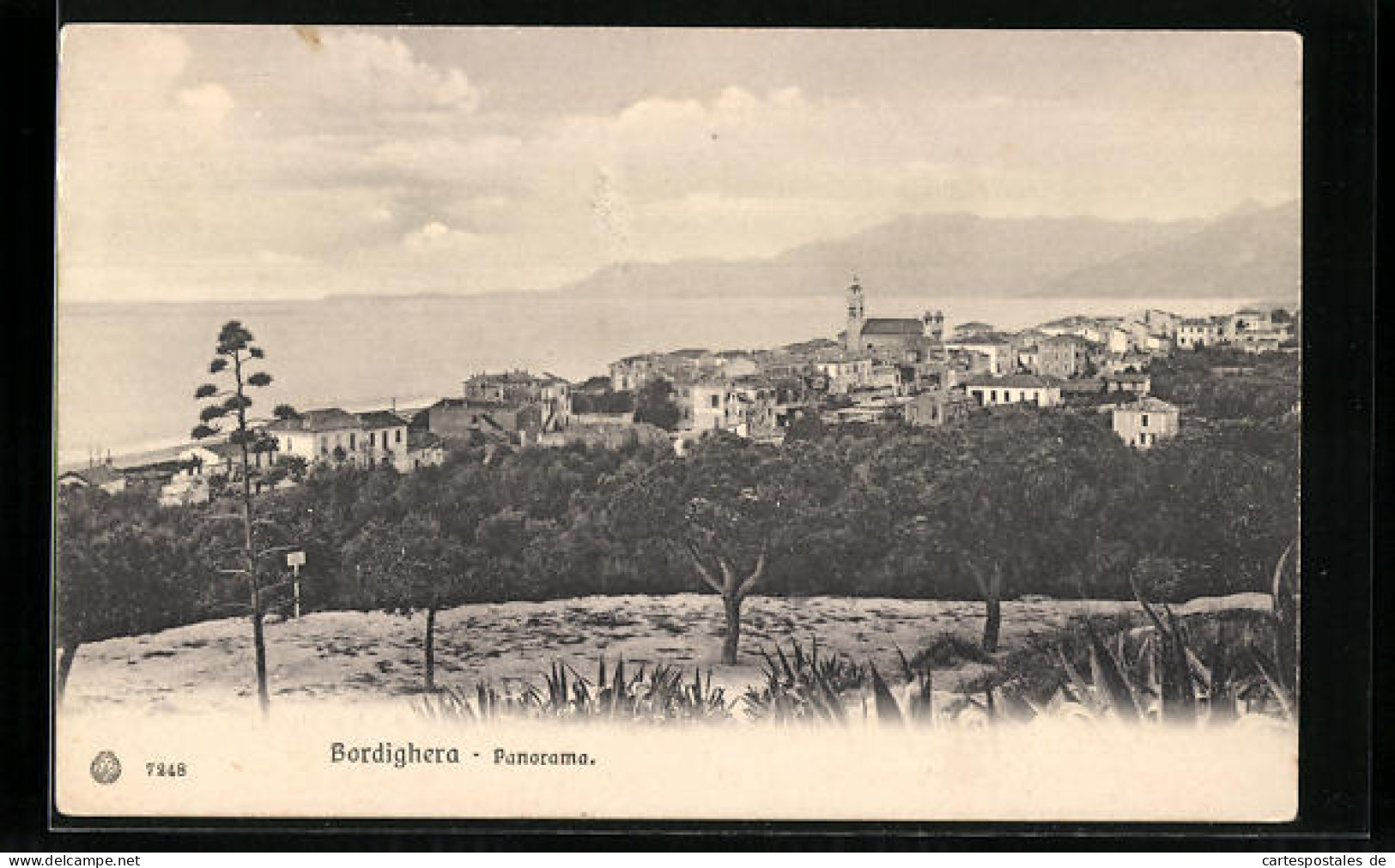 Cartolina Bordighera, Panorama  - Altri & Non Classificati