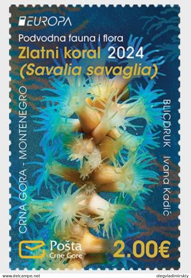 Montenegro 2024 Europa CEPT Underwater Fauna & Flora Gold Coral Stamp MNH - Montenegro