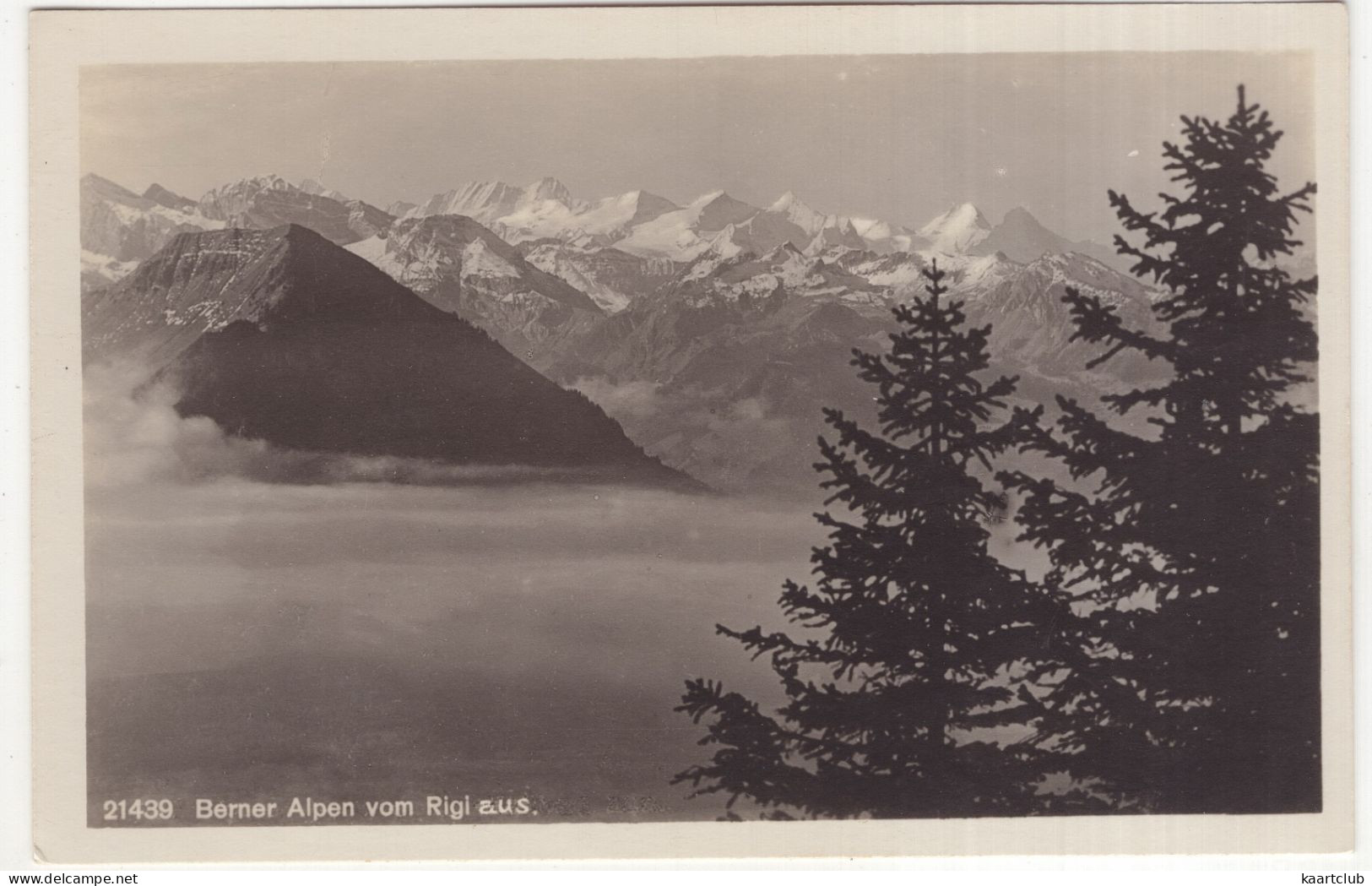 21439  Berner Alpen Vom Rigi Aus. - (Schweiz/Suisse/Switzerland) - Autres & Non Classés