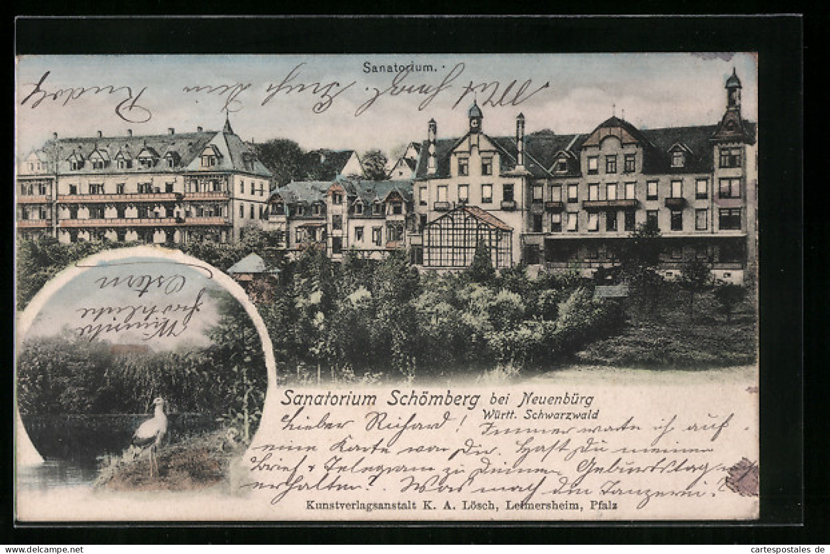 AK Neuenbürg /Württ. Schwarzwald, Sanatorium Schömberg, Storch Am Wasser  - Schömberg