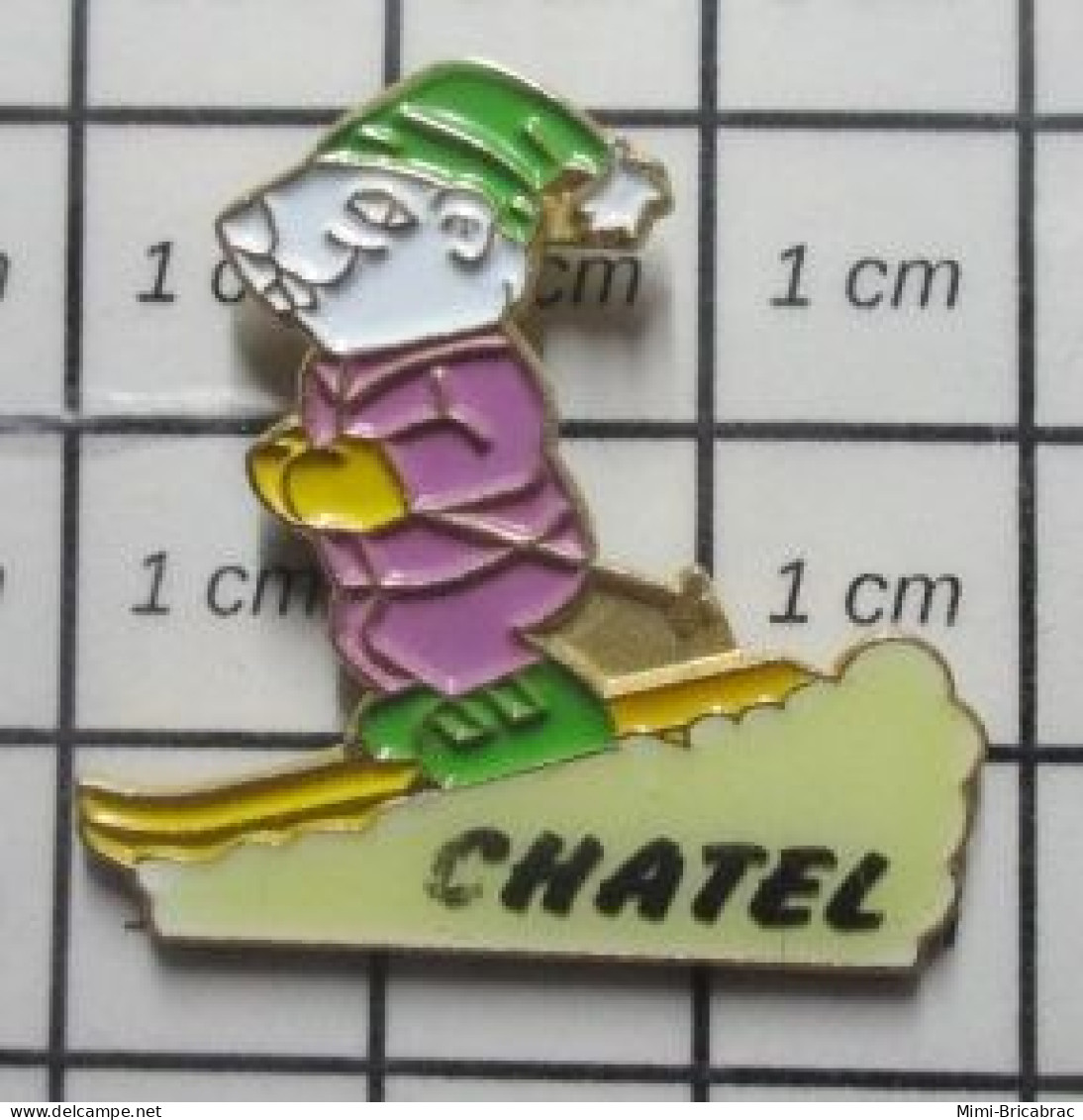 912E  Pin's Pins / Beau Et Rare / SPORTS / SKI MARMOTTE CHATEL - Wintersport