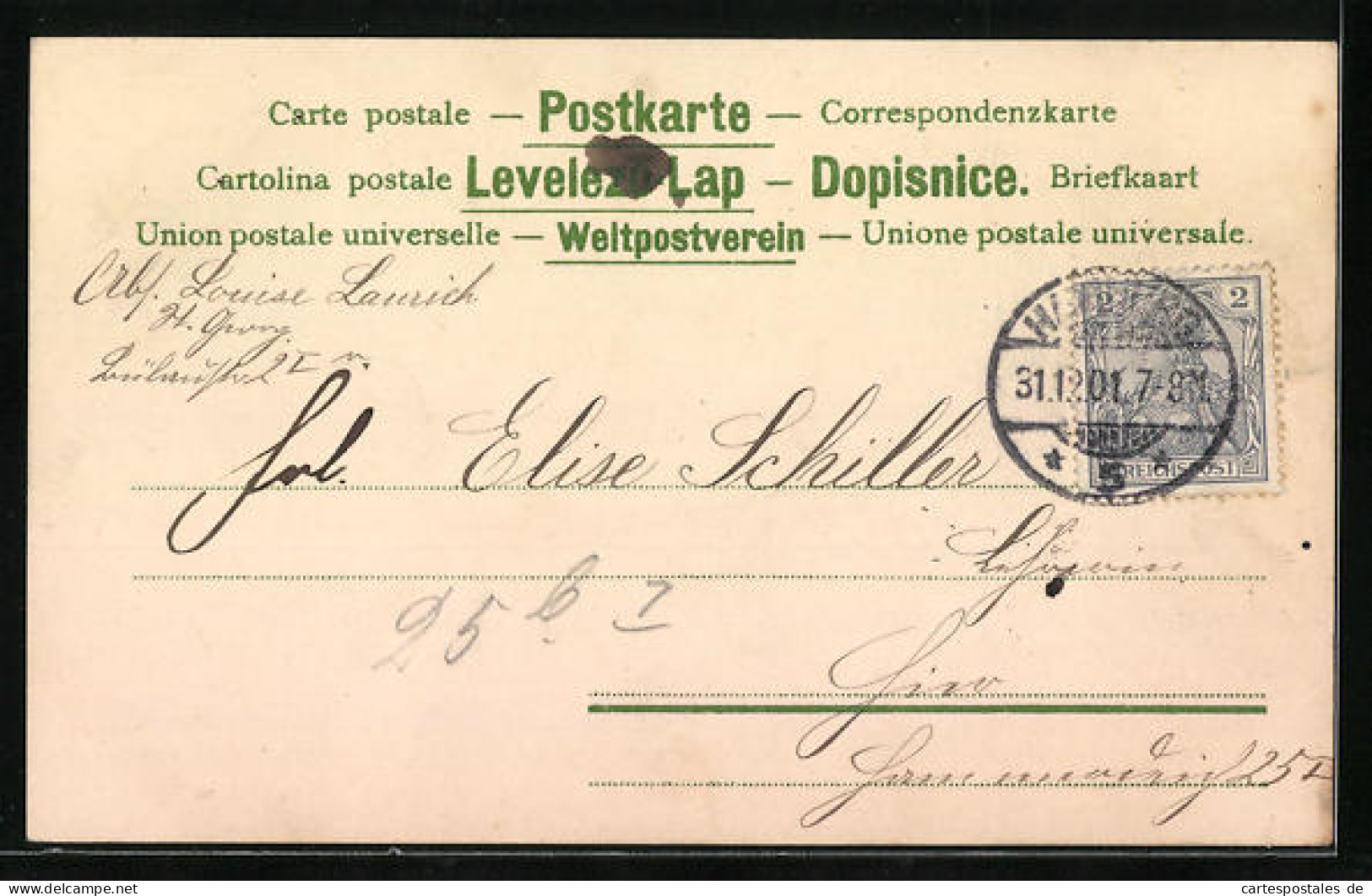 AK Jahreszahl 1902 Mit Vergissmeinnicht Und Blütenzweigen  - Other & Unclassified