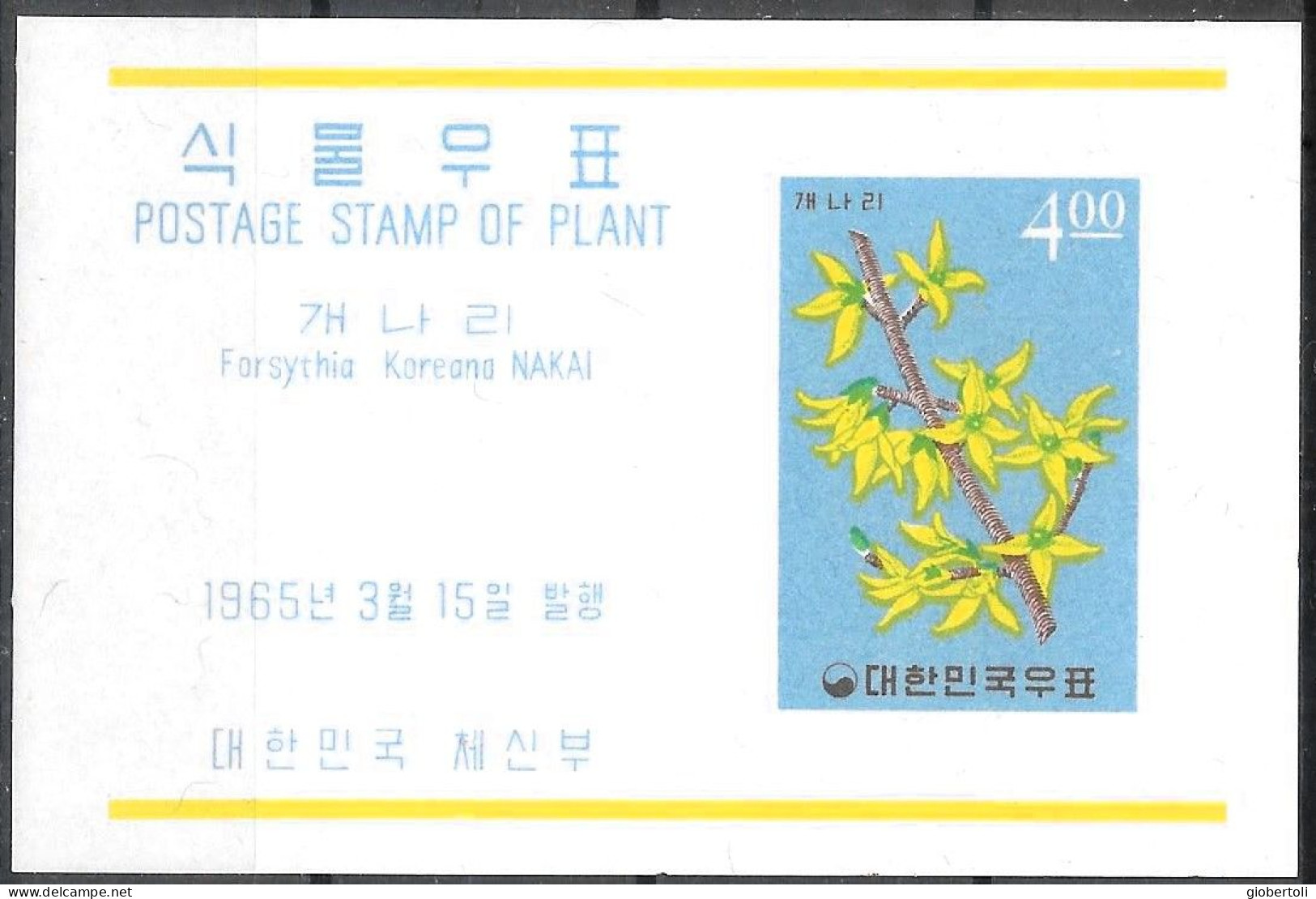 Corea/Korea/Corée: Forsythia Koreana - Autres & Non Classés