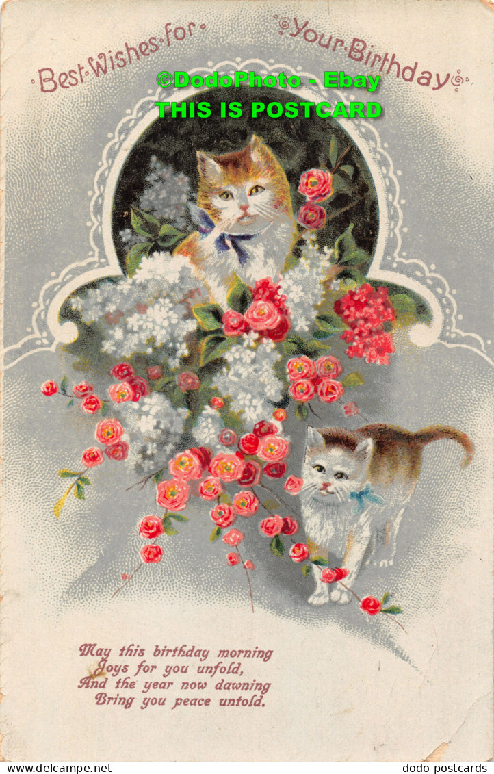 R453017 Best Wishes For Your Birthday. May This Birthday Morning. Cats. 3273. 19 - World
