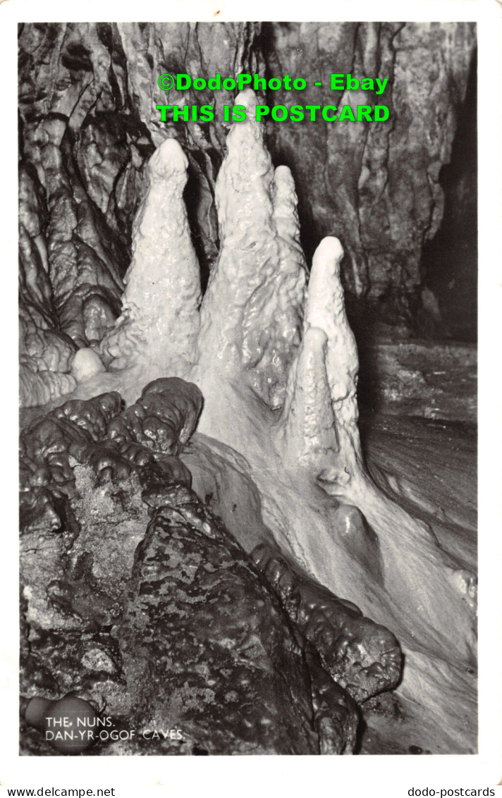 R453071 The Nuns. Dan Yr Ogof Caves. Swansea Valley Caves. T. J. And D. Davies. - Monde