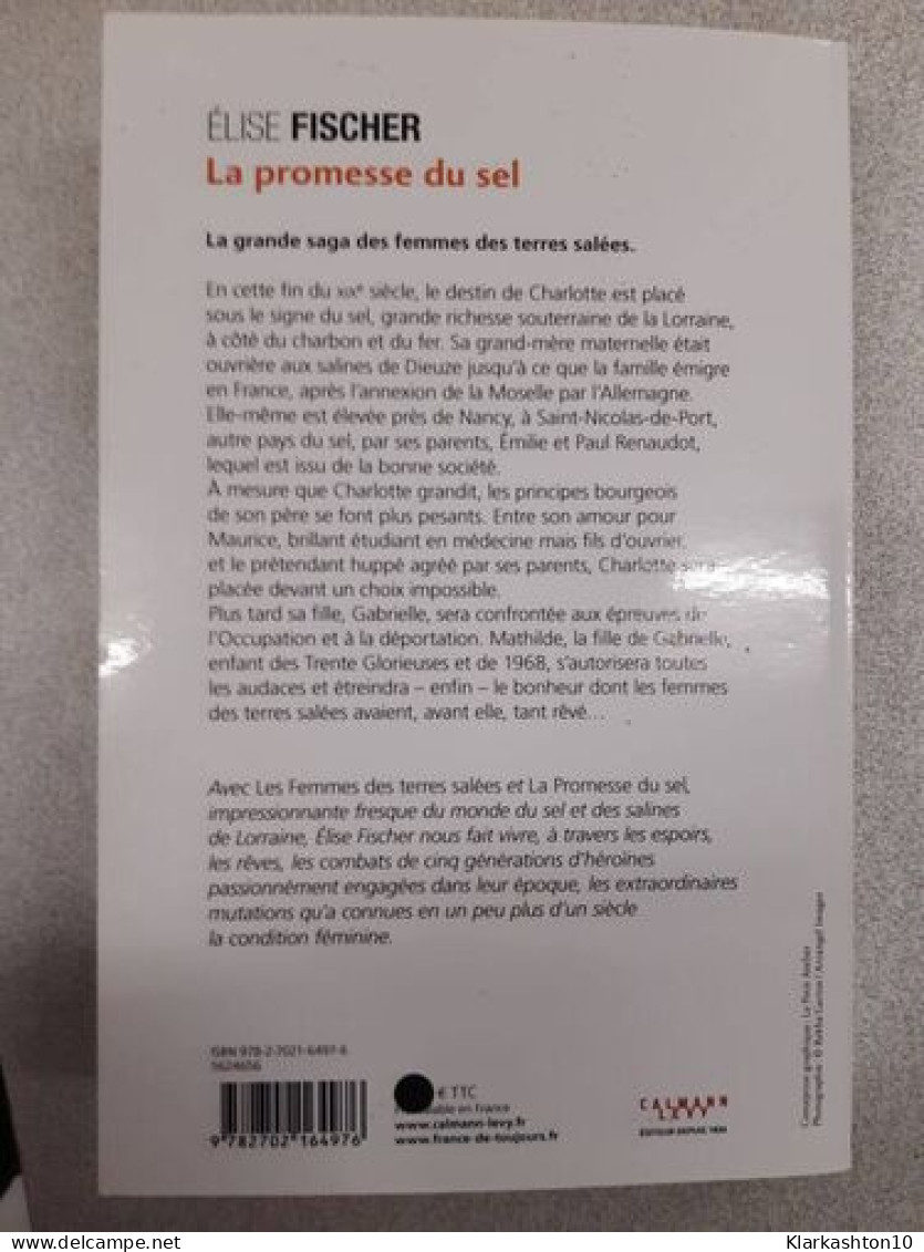 La Promesse Du Sel (Les Femmes Des Terres Salées T.2) - Other & Unclassified