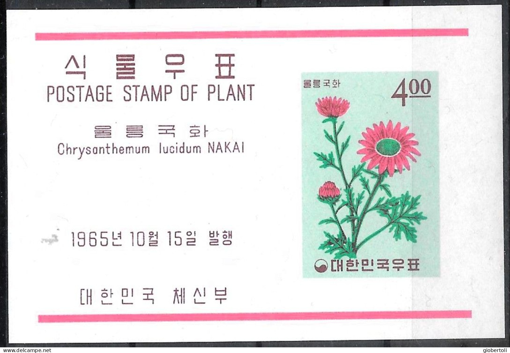 Corea/Korea/Corée: Chrysanthemum Lucidum - Autres & Non Classés