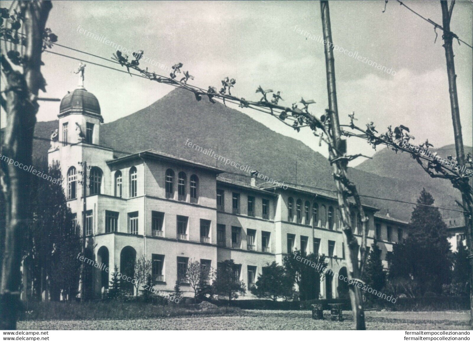 O579 Cartolina Albino Scuola Apostolica Provincia Di Bergamo - Bergamo