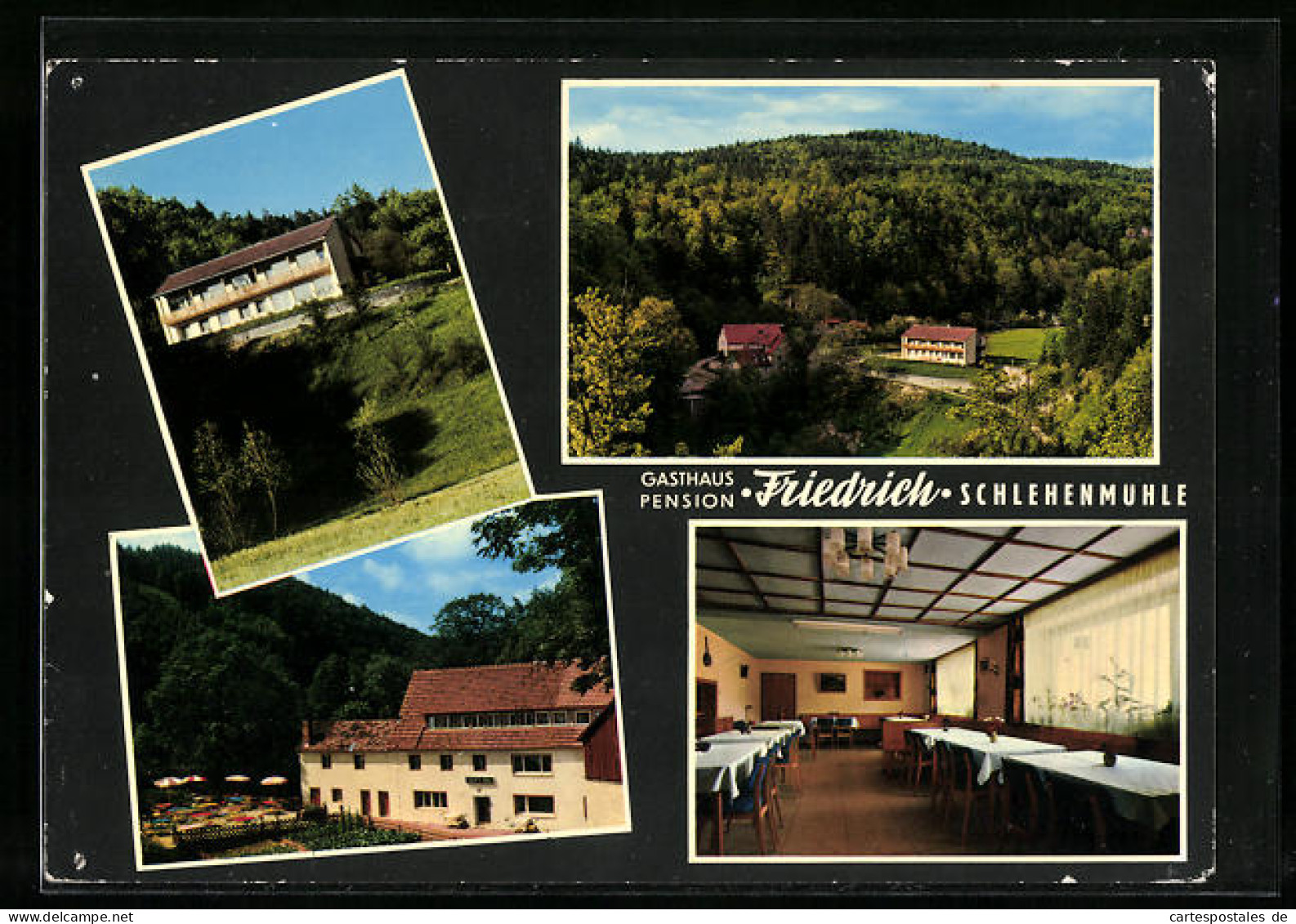 AK Schlehenmühle, Gasthaus-Pension Friedrich, Aussen- Und Innenansichten  - Other & Unclassified