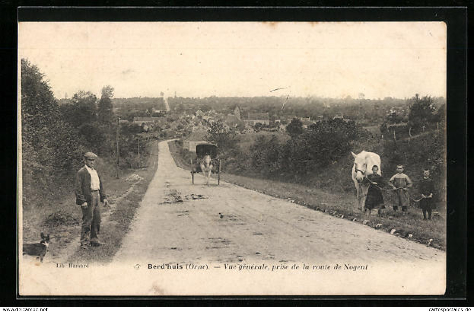 CPA Berd`huis, Vue Generale, Prise De La Route De Nogent  - Other & Unclassified