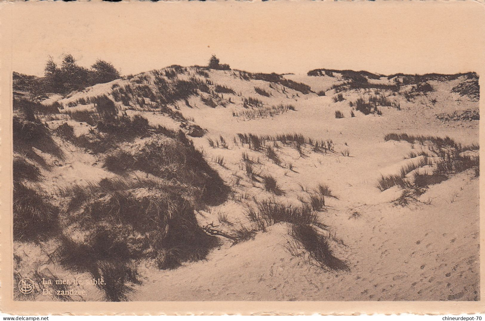 LITORAL BELGE  LA  MER ET LE SABLE - Autres & Non Classés