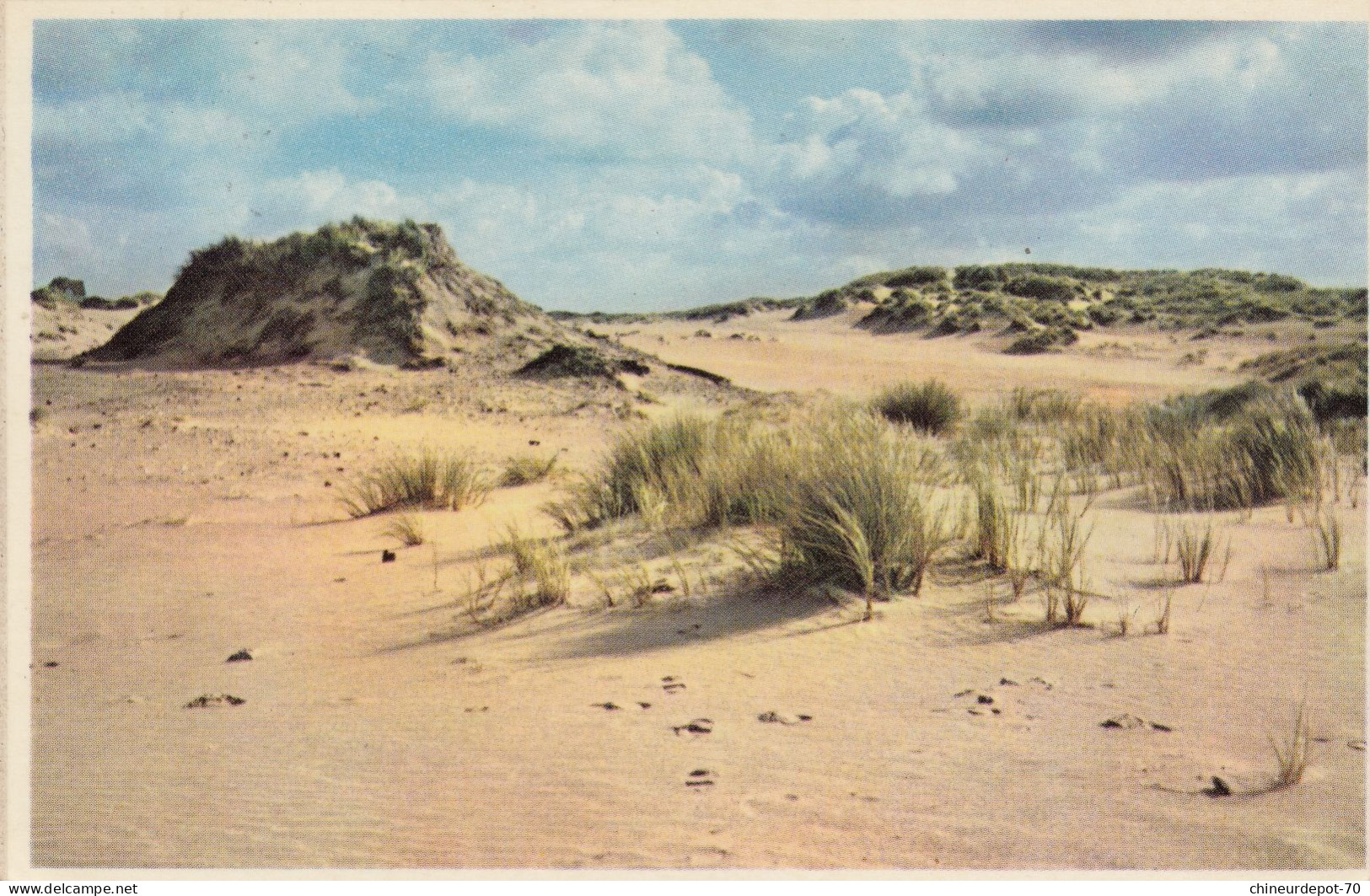 LITORAL BELGE  LES DUNES - Autres & Non Classés