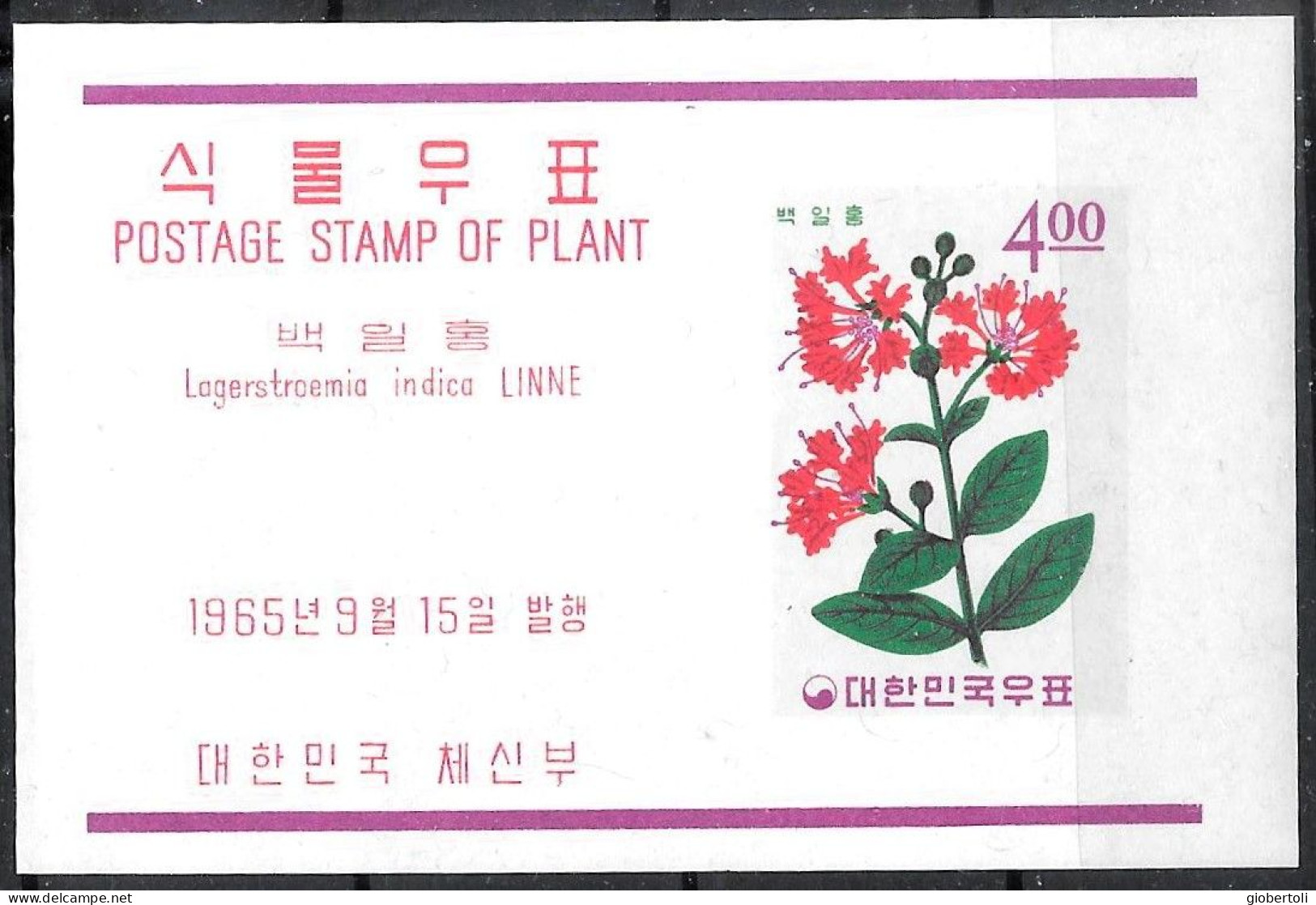 Corea/Korea/Corée: Lagerstroemia Indica - Autres & Non Classés