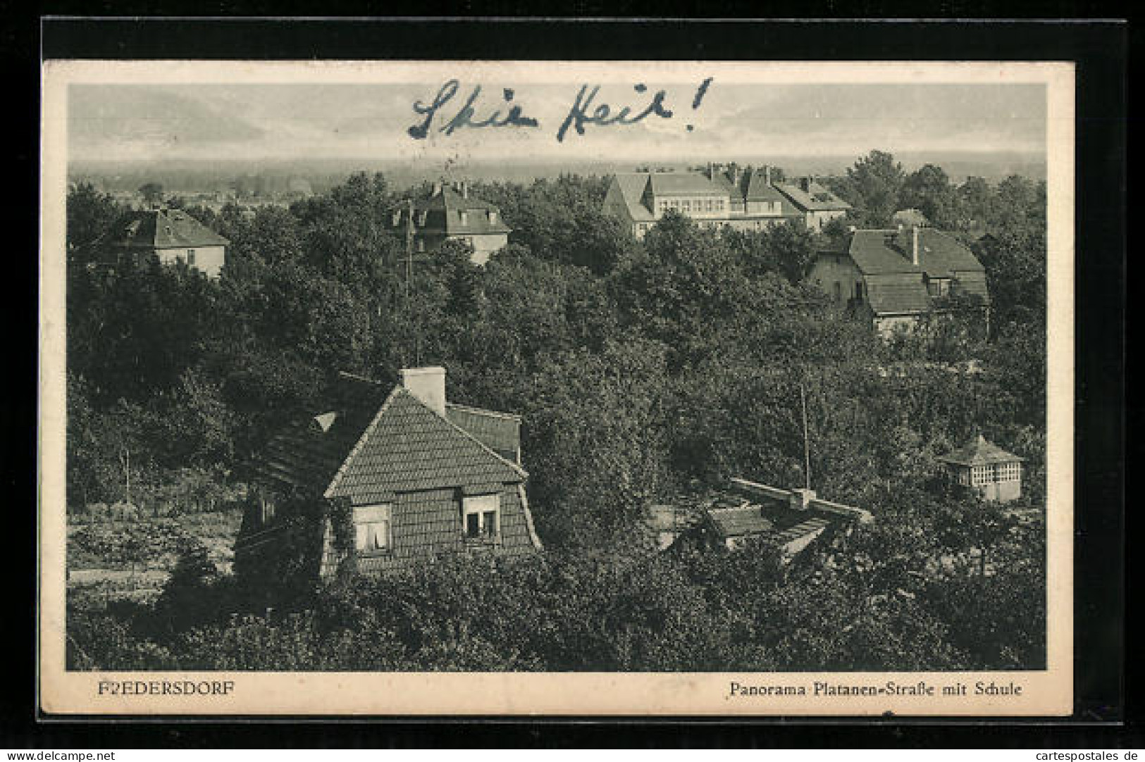 AK Fredersdorf, Panorama Platanen-Strasse Mit Schule  - Autres & Non Classés