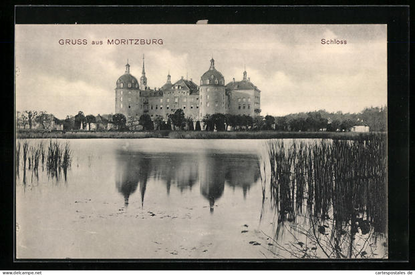 AK Moritzburg, Schloss, Vom Wasser Gesehen  - Sonstige & Ohne Zuordnung