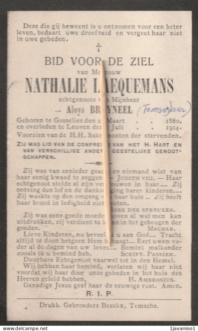 Gosselies, Leuven, Nathalie Laequemans, Bruynee( Temsenaar), 1914 - Religion &  Esoterik