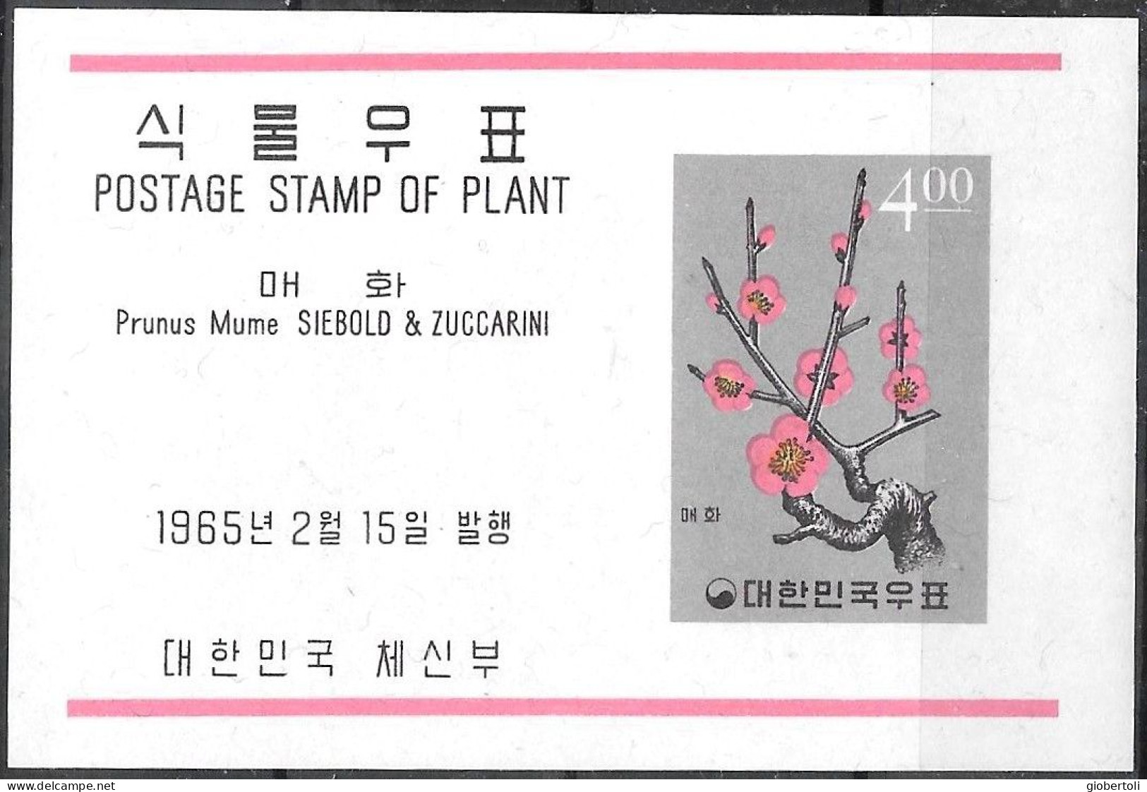 Corea/Korea/Corée: Prunus Mume - Autres & Non Classés