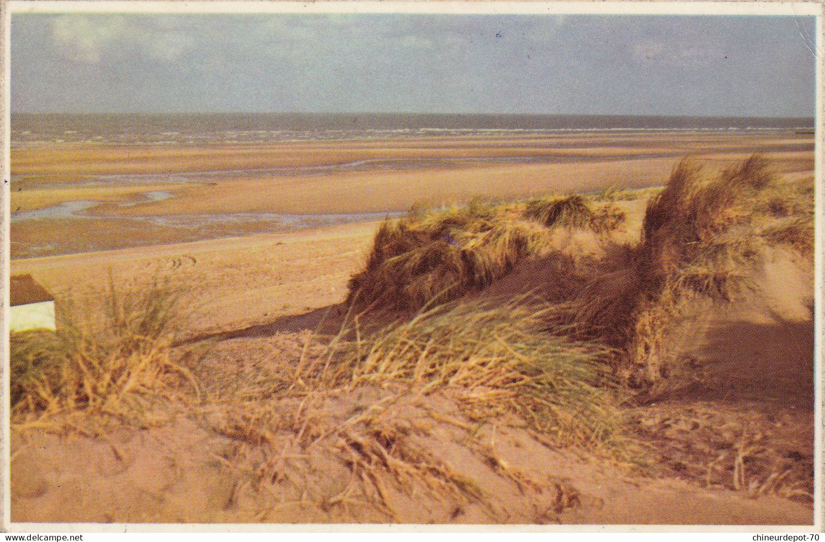 LITORAL BELGE   DUNES MER ET PLAGE - Other & Unclassified