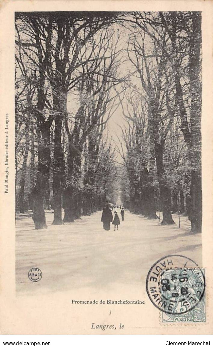 LANGRES - Promenade De Blanchefontaine - Très Bon état - Langres