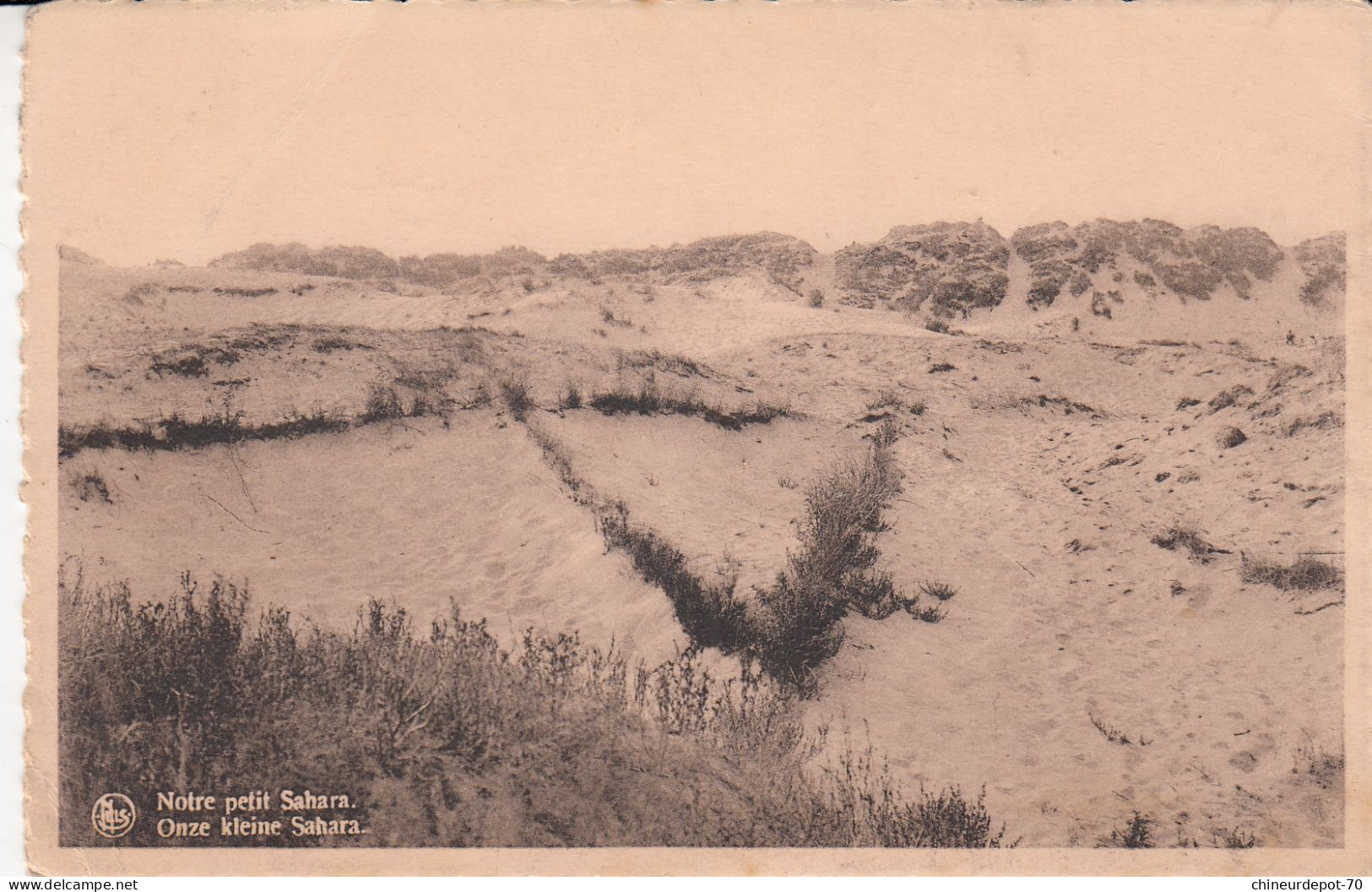 LITORAL BELGE   NOTRE PETIT SAHARA - Autres & Non Classés