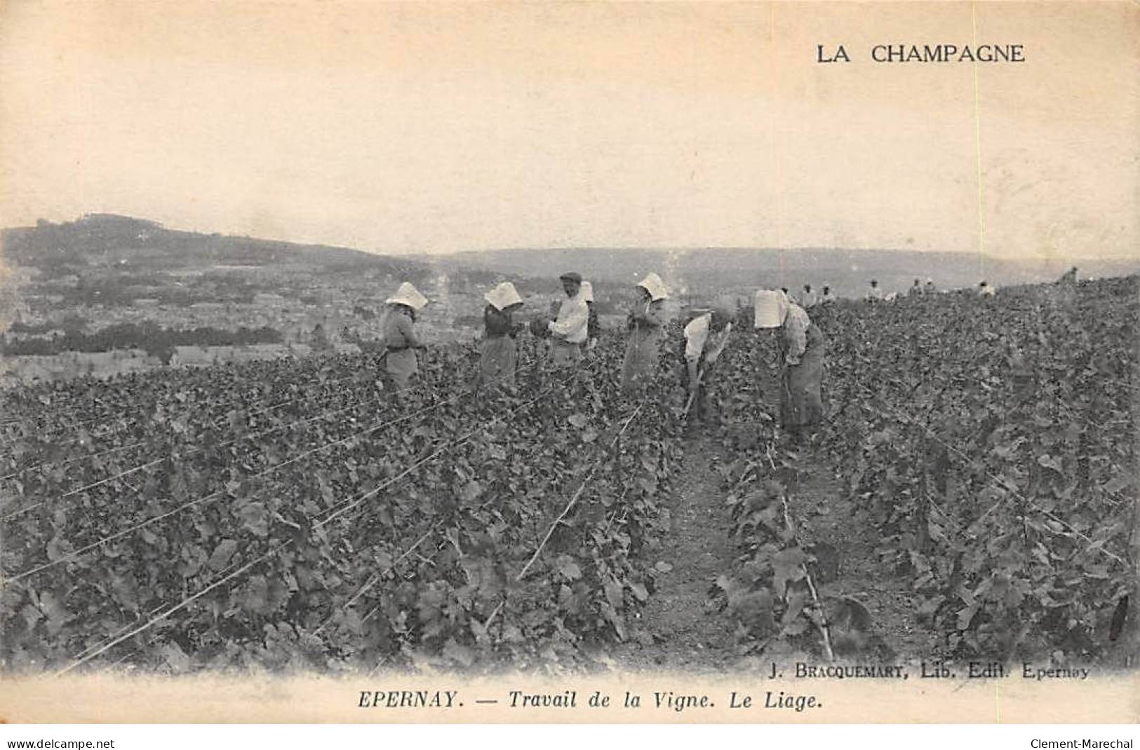 EPERNAY - Travail De La Vigne - Le Liage - Très Bon état - Epernay