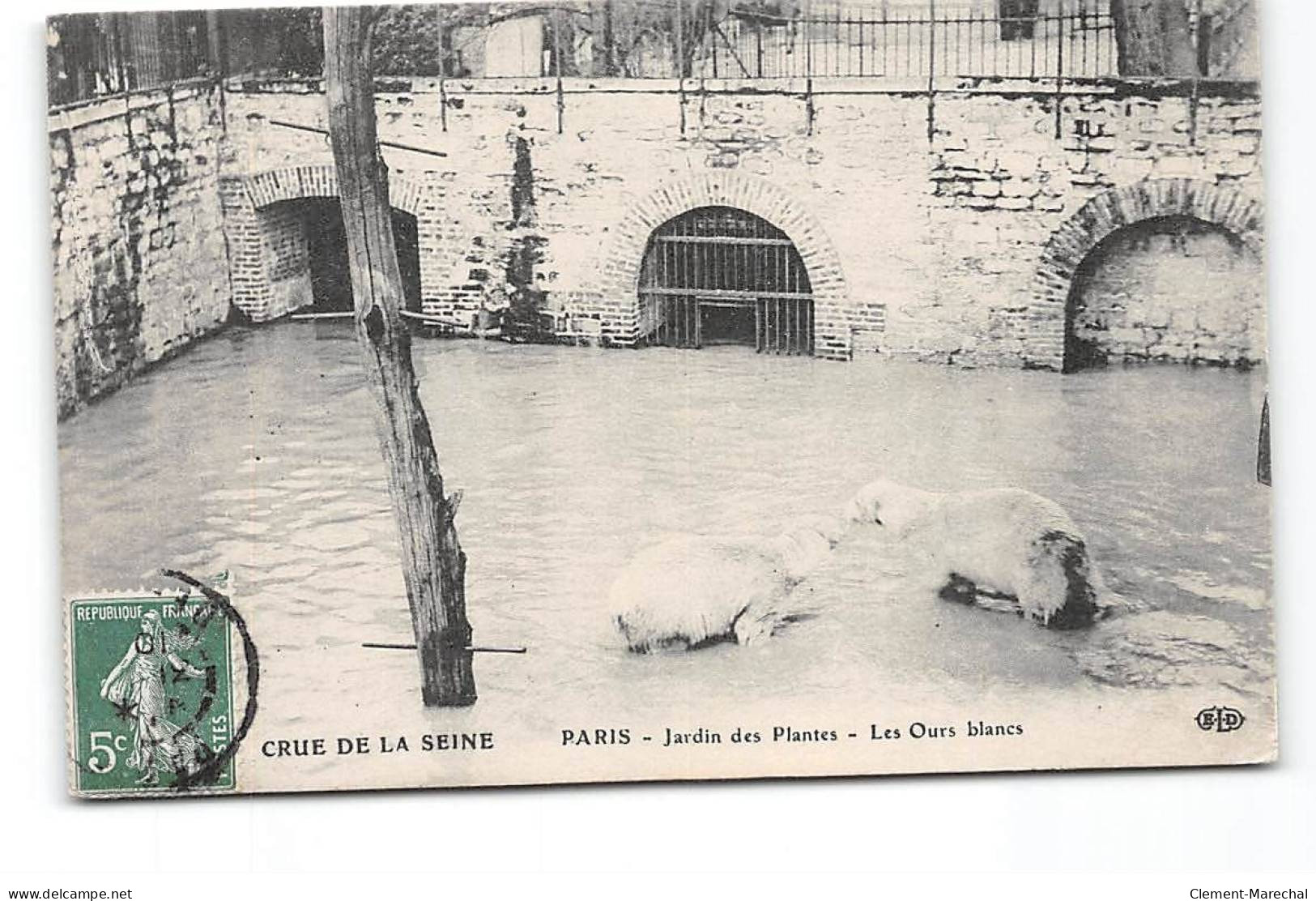 PARIS - Crue De La Seine - Jardin Des Plantes - Les Ours Blancs - Très Bon état - Inondations De 1910